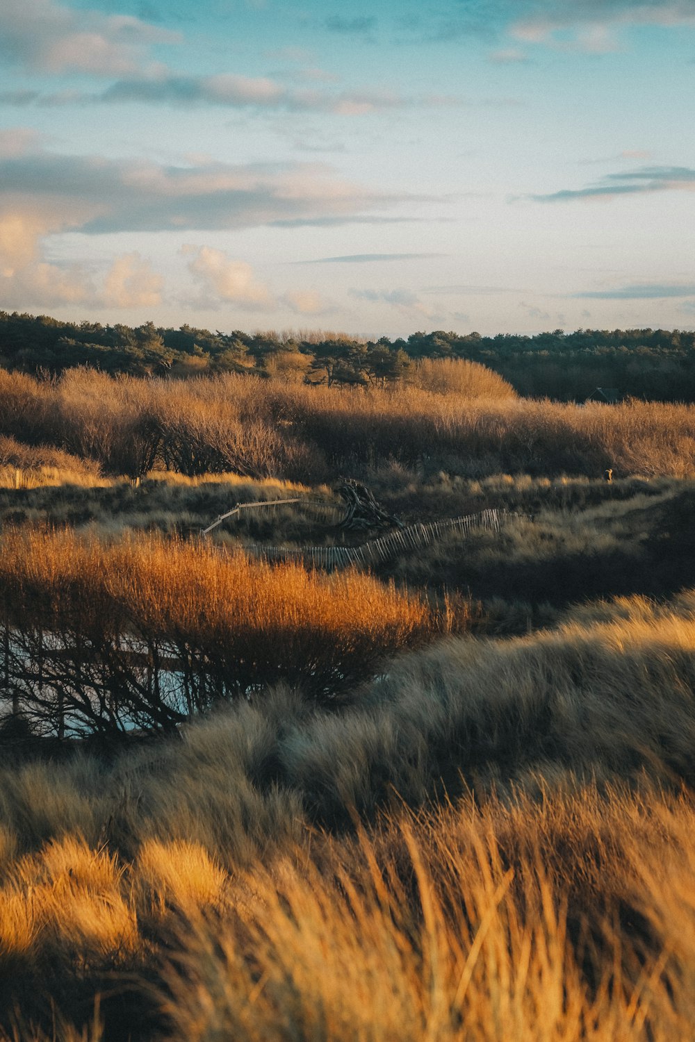 a grassy field with a body of water in the distance