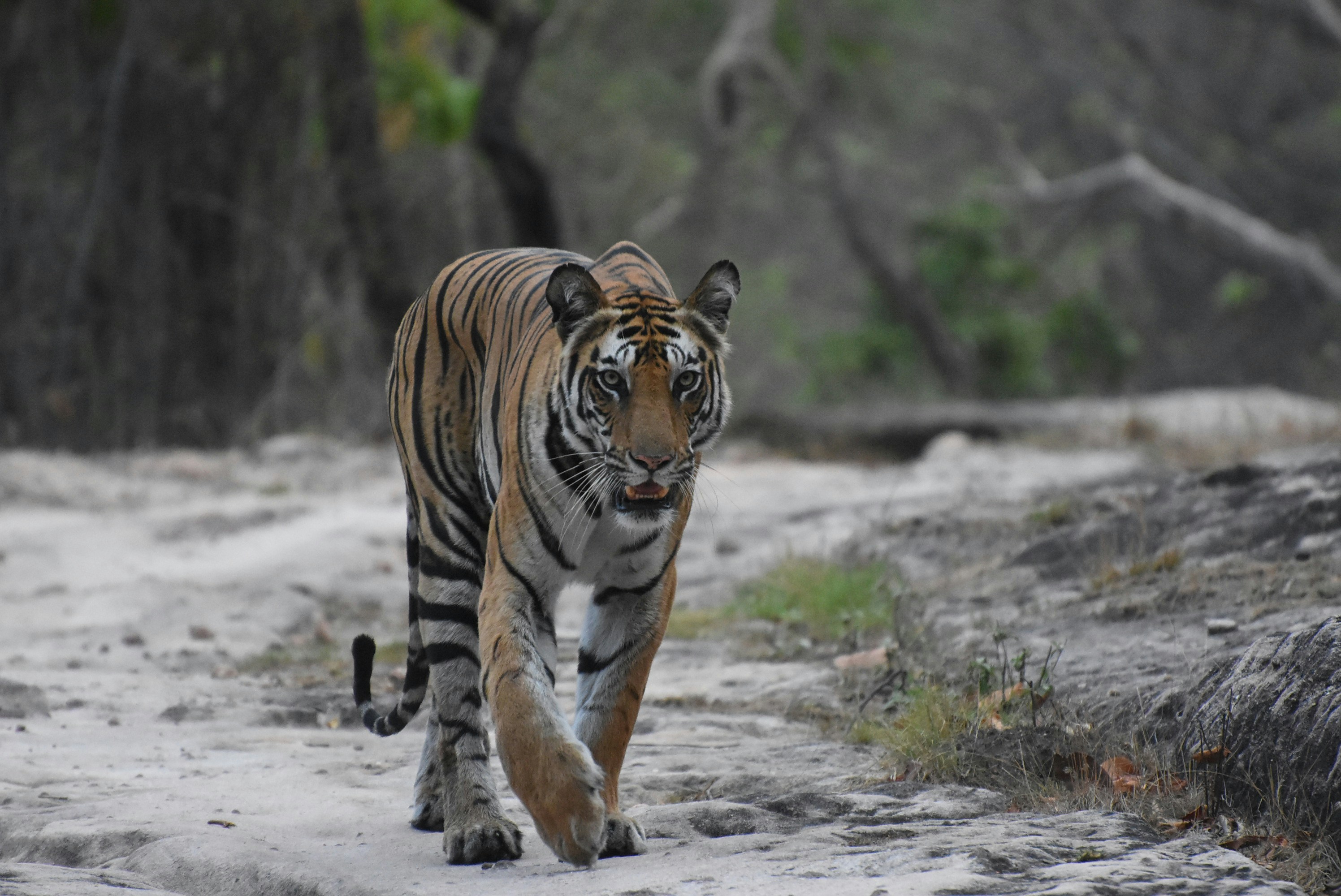 Photo by hrithikmantra