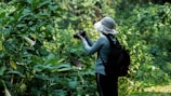 A person wearing a wide-brimmed hat and a backpack is taking photos of lush green foliage. The scene is set in a dense, vibrant forest or garden with an abundance of leafy plants.