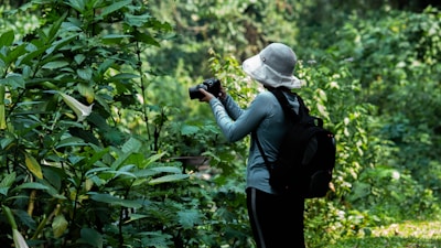 A person wearing a wide-brimmed hat and a backpack is taking photos of lush green foliage. The scene is set in a dense, vibrant forest or garden with an abundance of leafy plants.