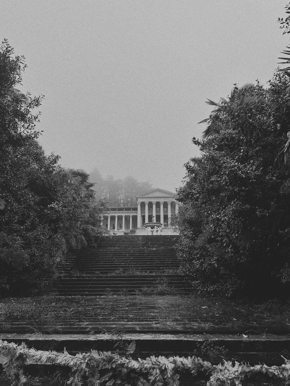 a black and white photo of a set of stairs