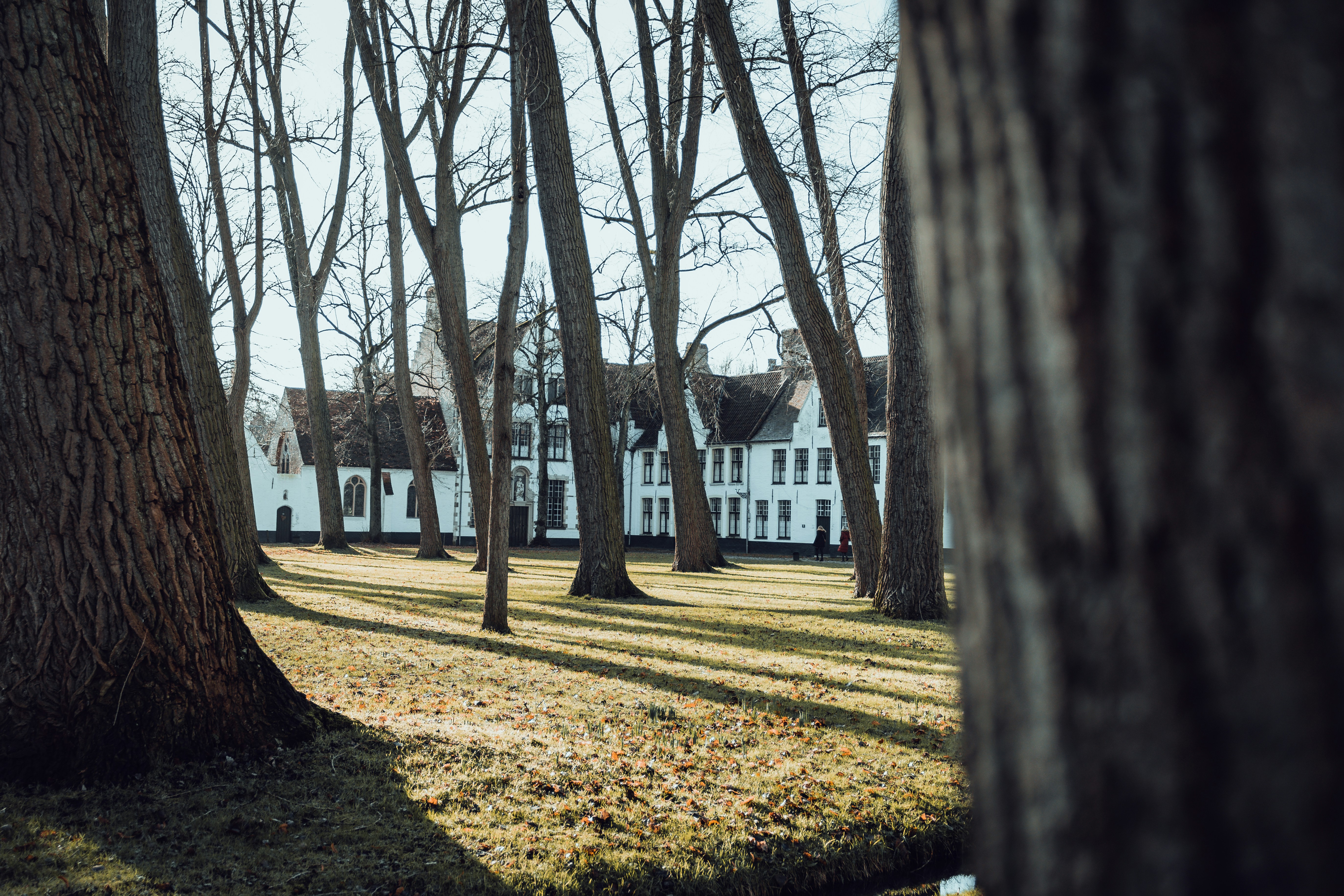 Photo by gonchifacello