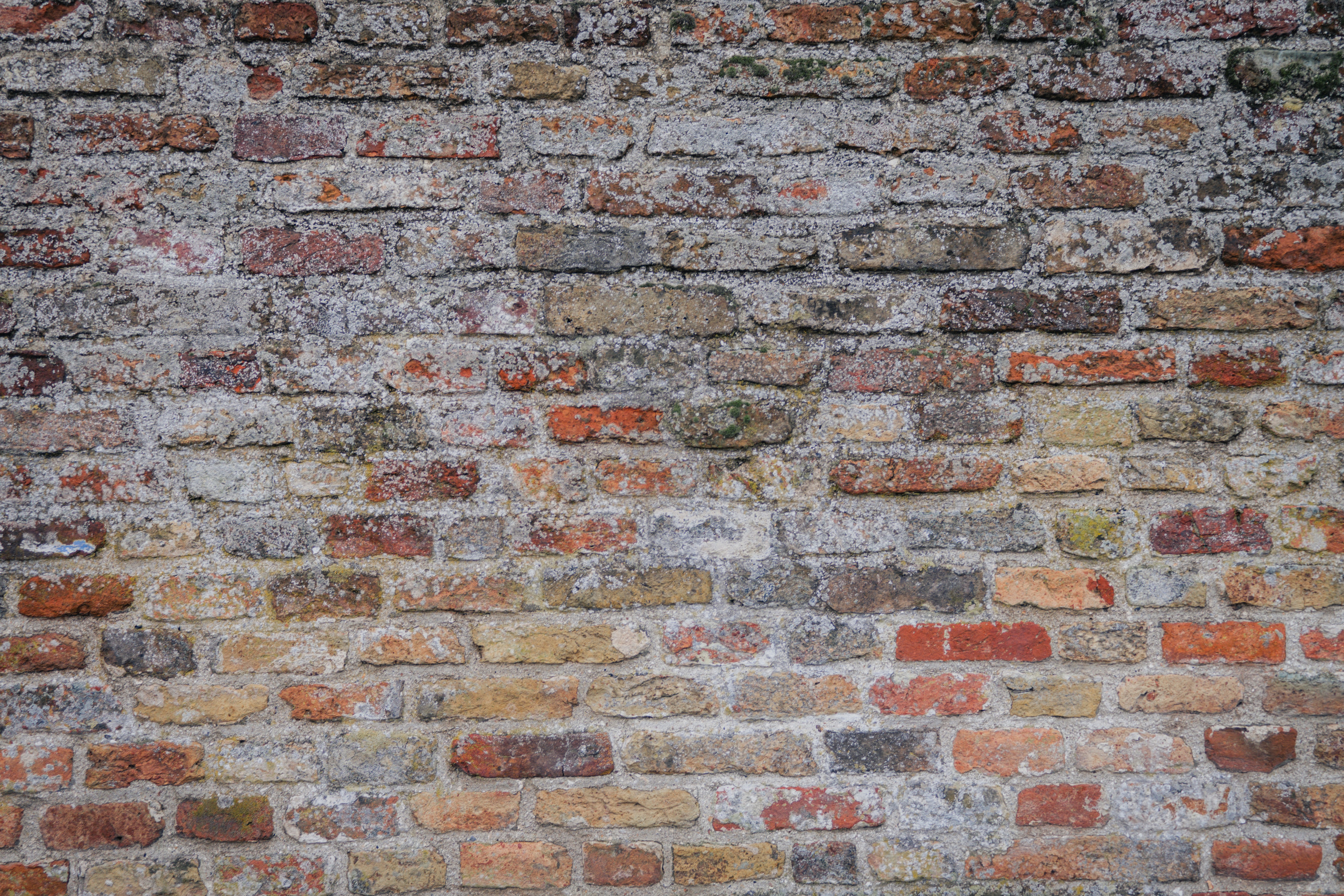 Photo by gonchifacello