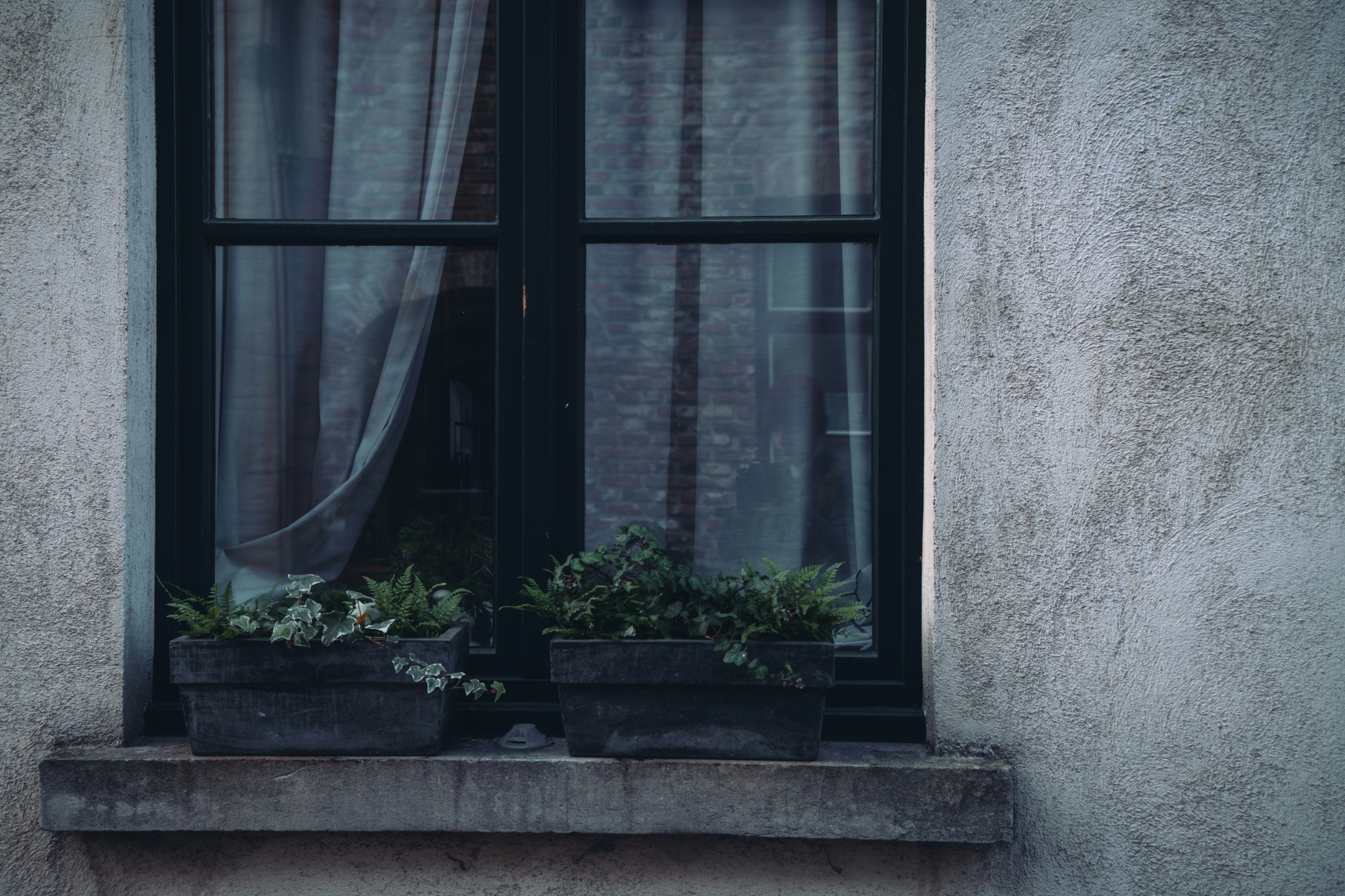 Photo by gonchifacello