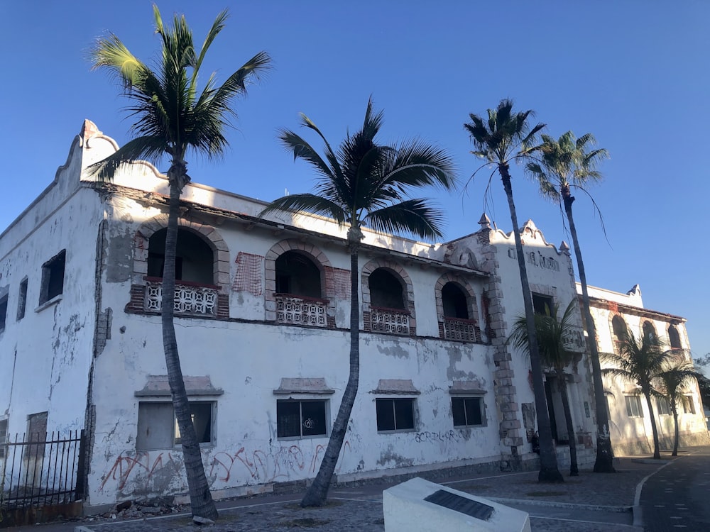 a white building with palm trees in front of it