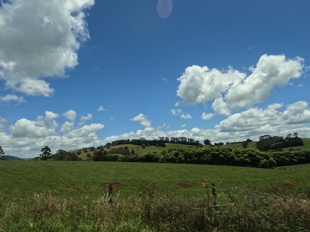 a grassy field with trees and clouds in the background