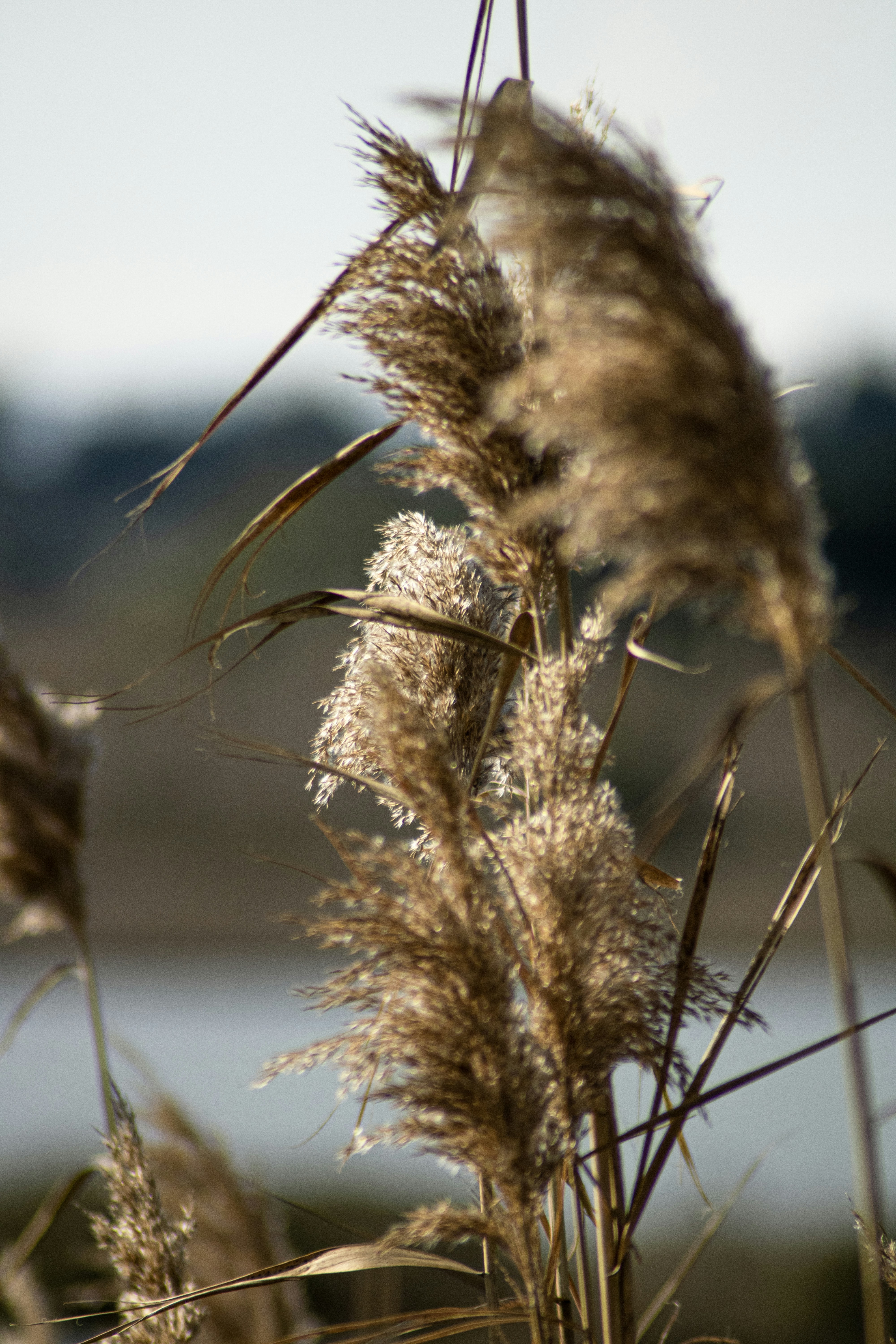 Photo by davidcultre