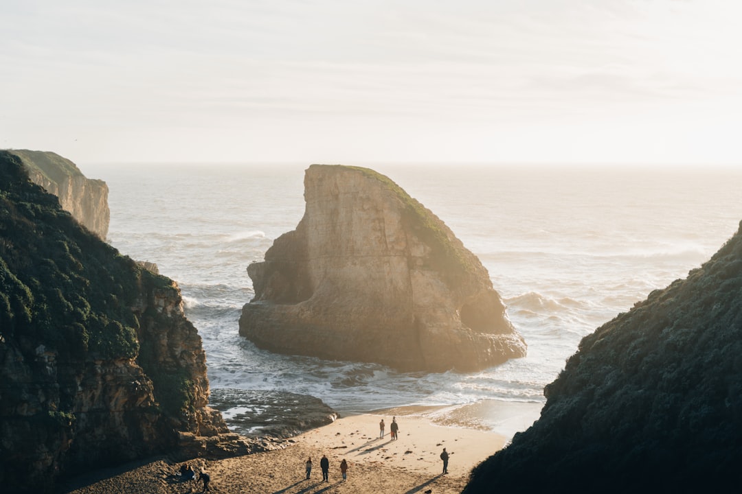 a group of people standing on top of a sandy beach,