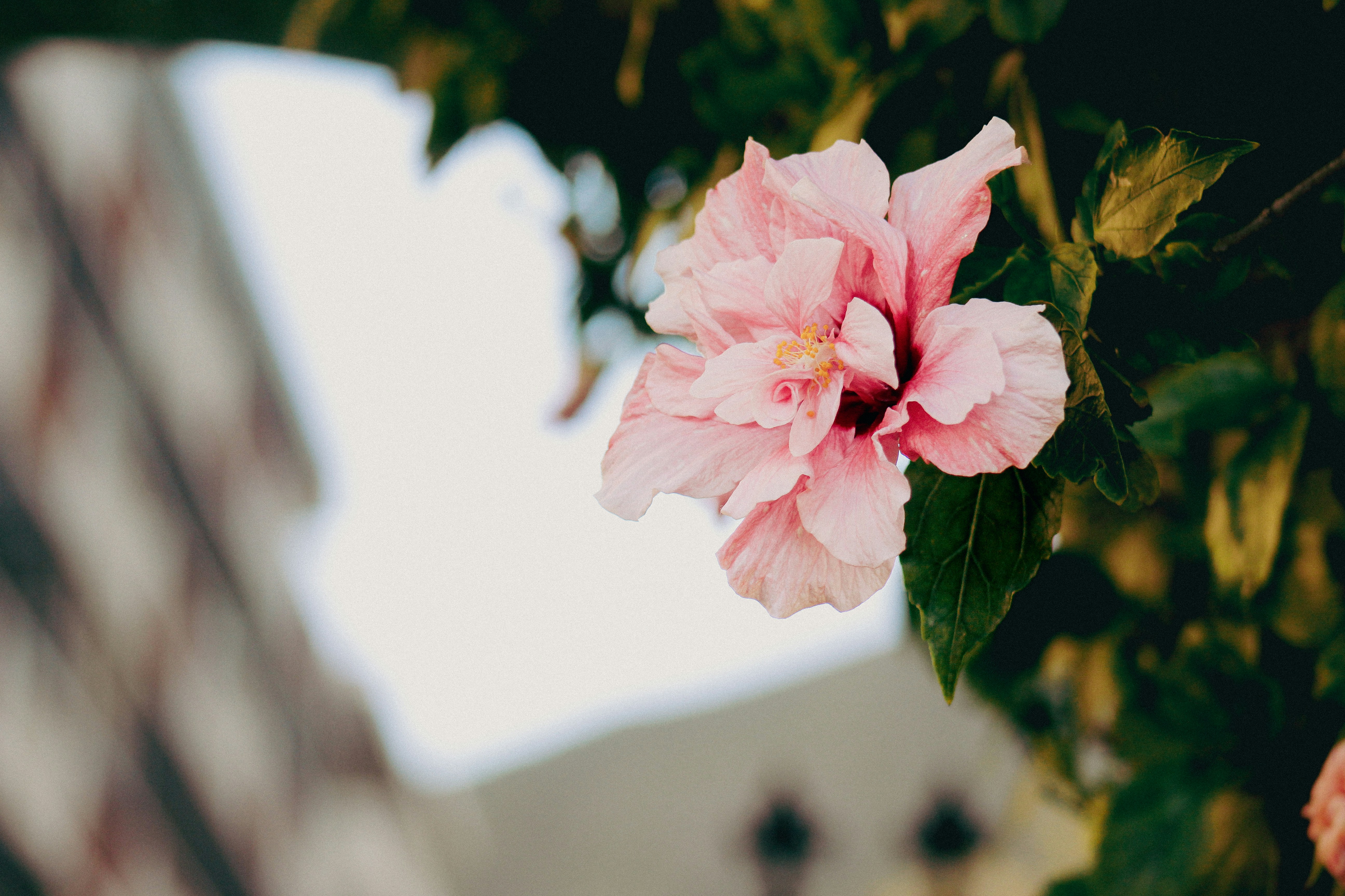 Photo by jordanphotographs