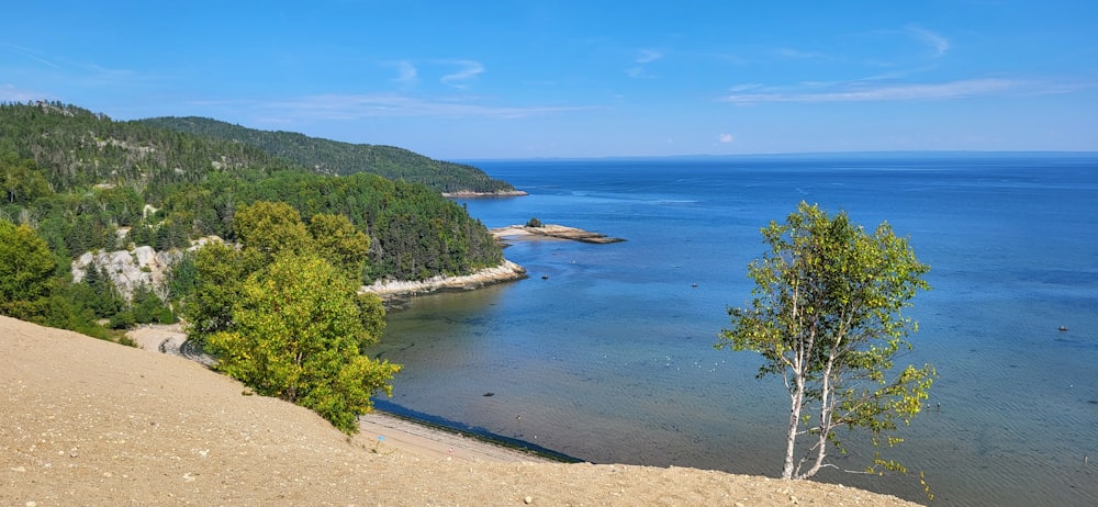 a view of the ocean from a hill