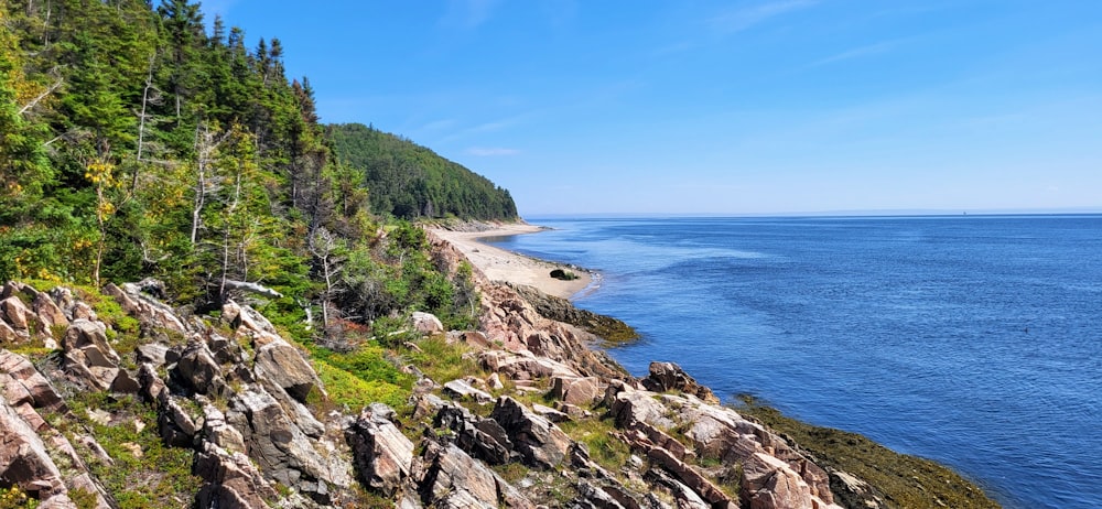a scenic view of the ocean and a rocky shoreline