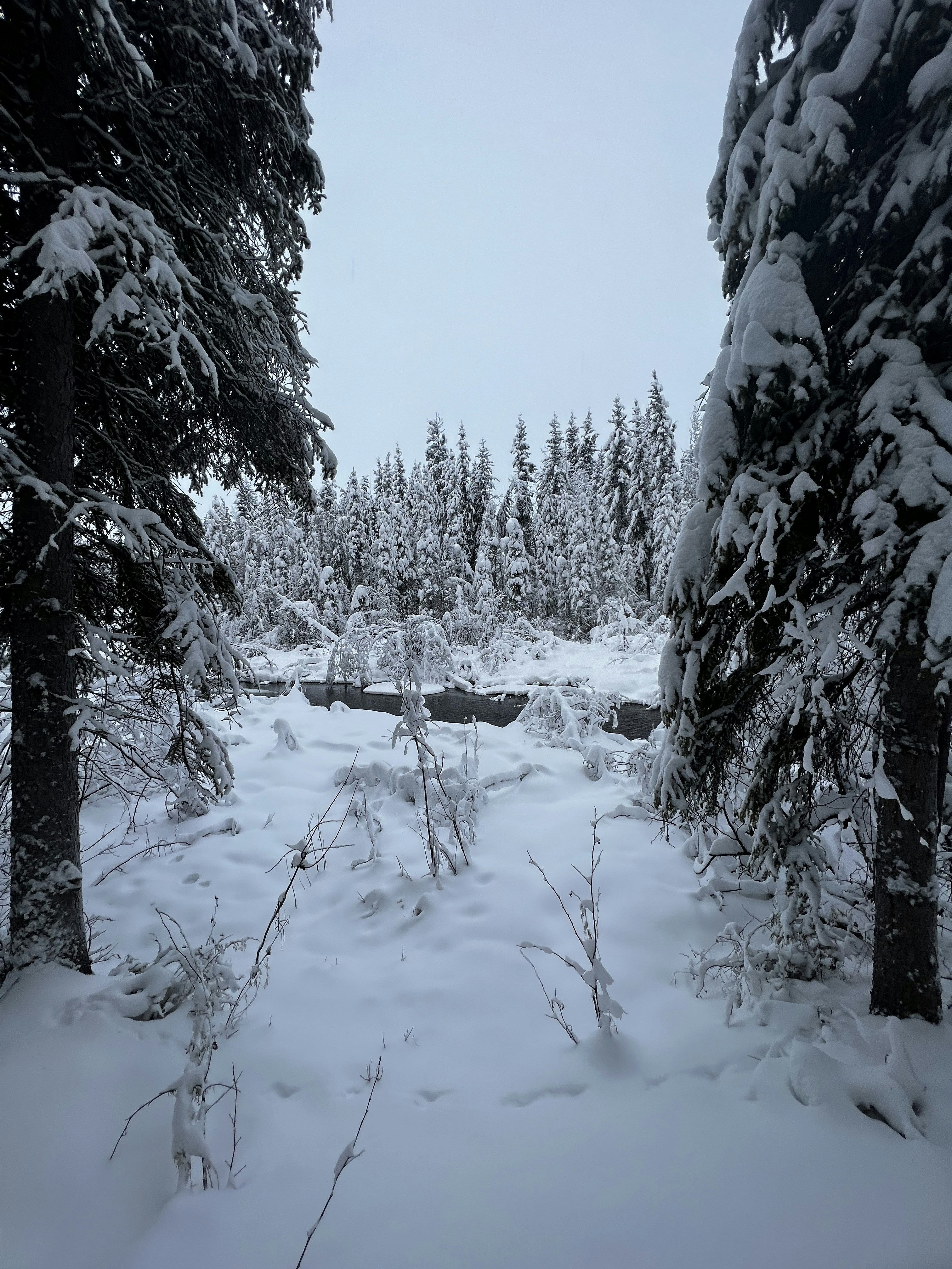 Photo by blairneedsanap