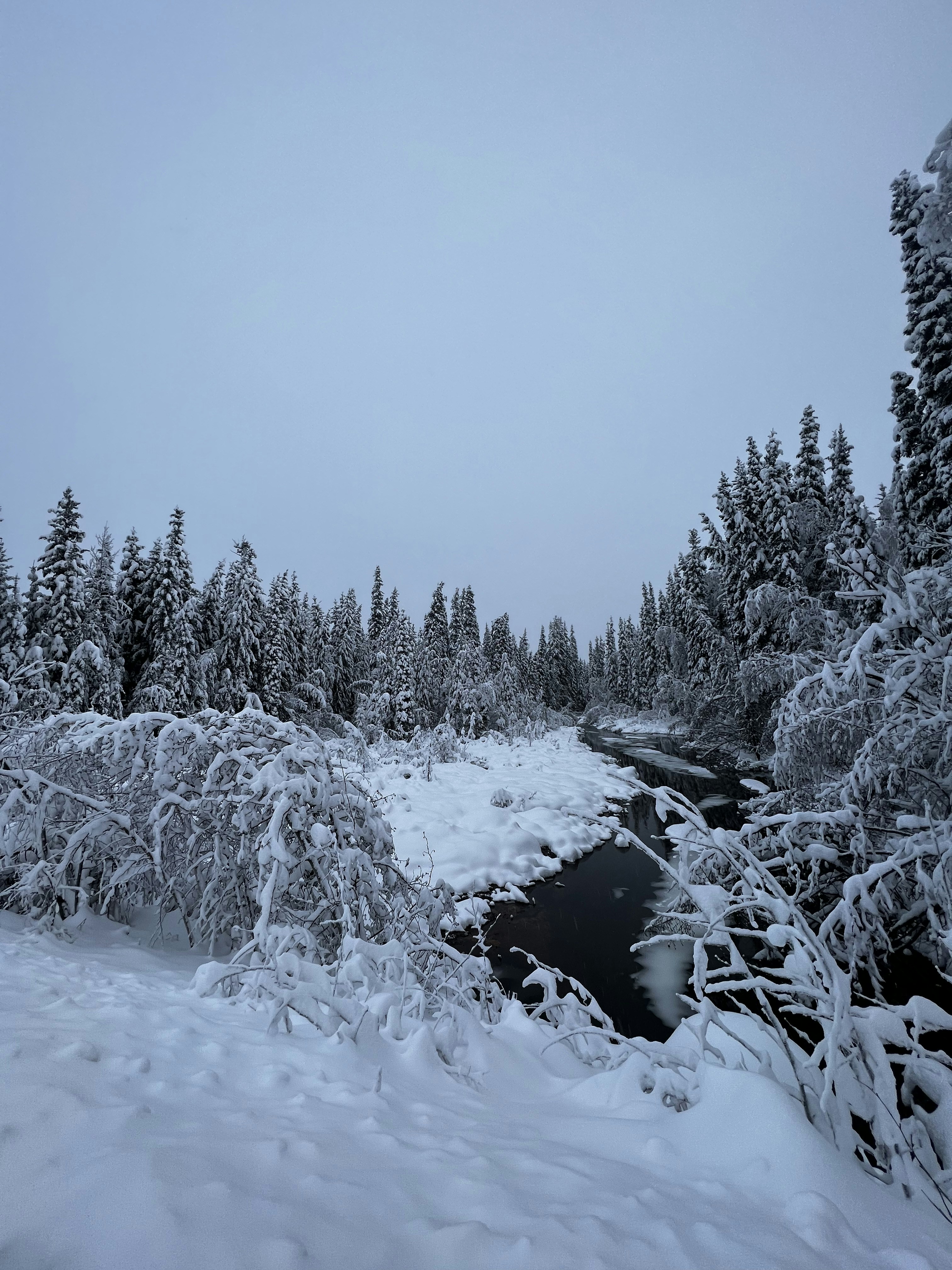 Photo by blairneedsanap