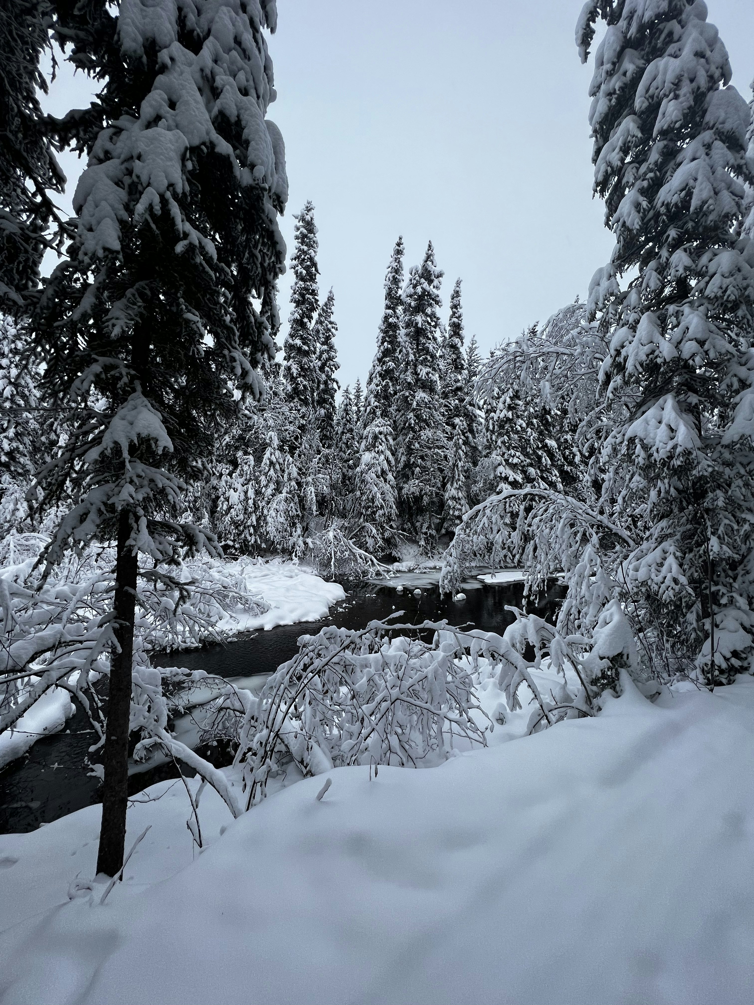 Photo by blairneedsanap