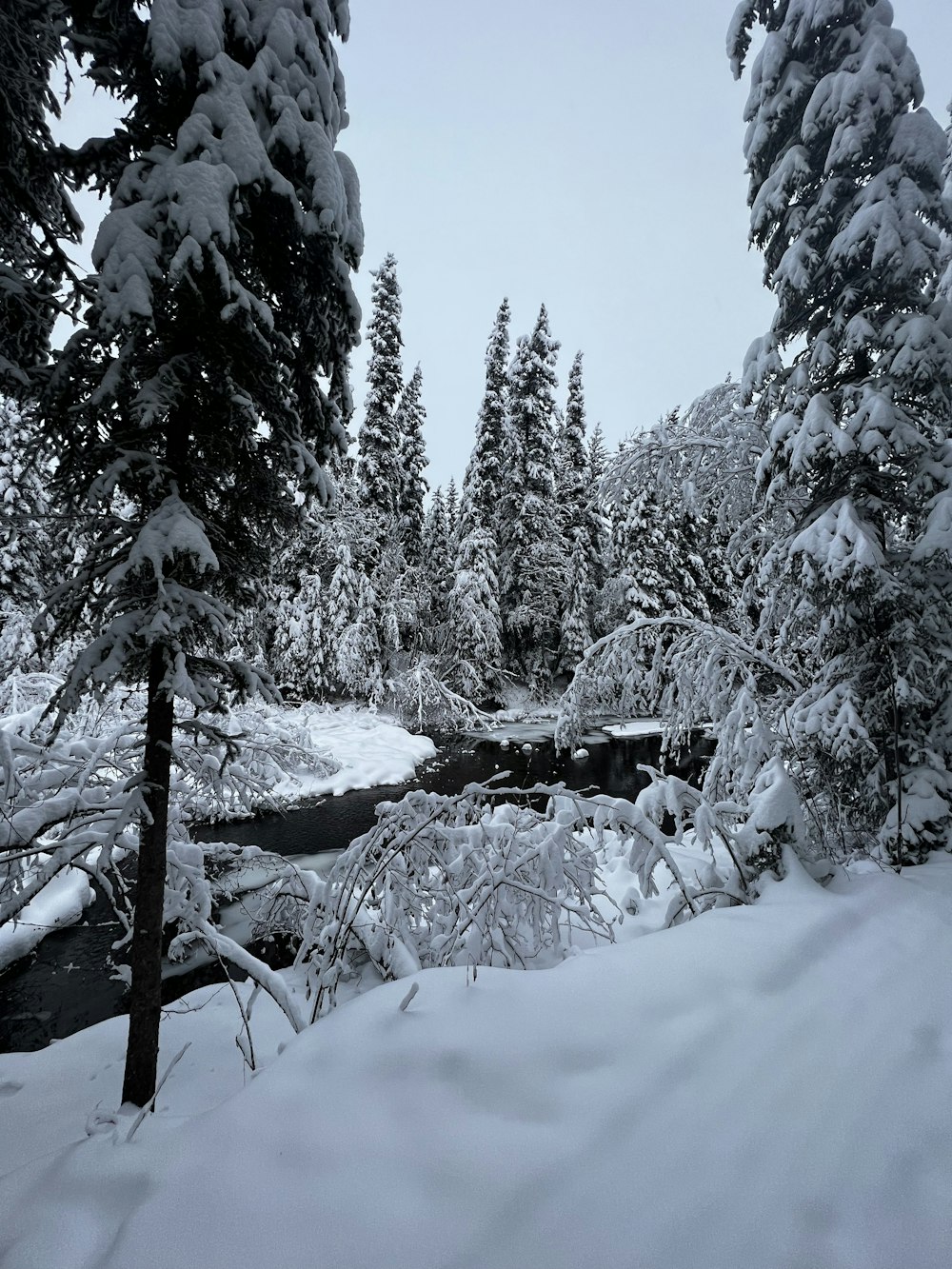 a river running through a snow covered forest