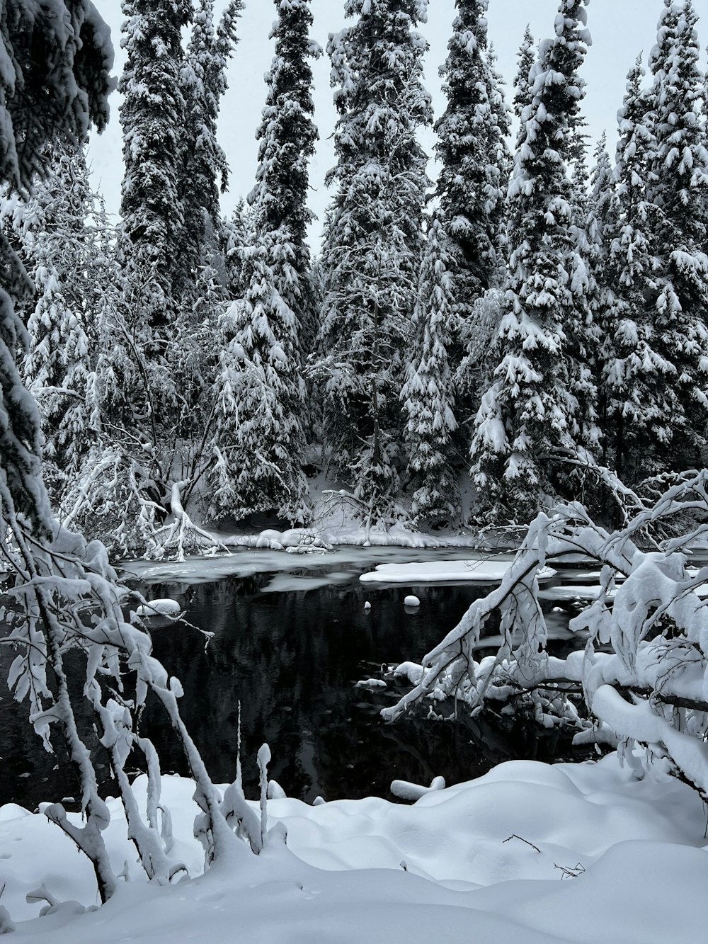 a pond surrounded by snow covered trees in a forest