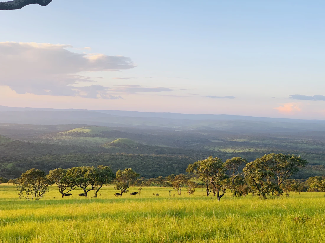 Verdant hills of central Burundi rolling toward the great lakes of East Africa
