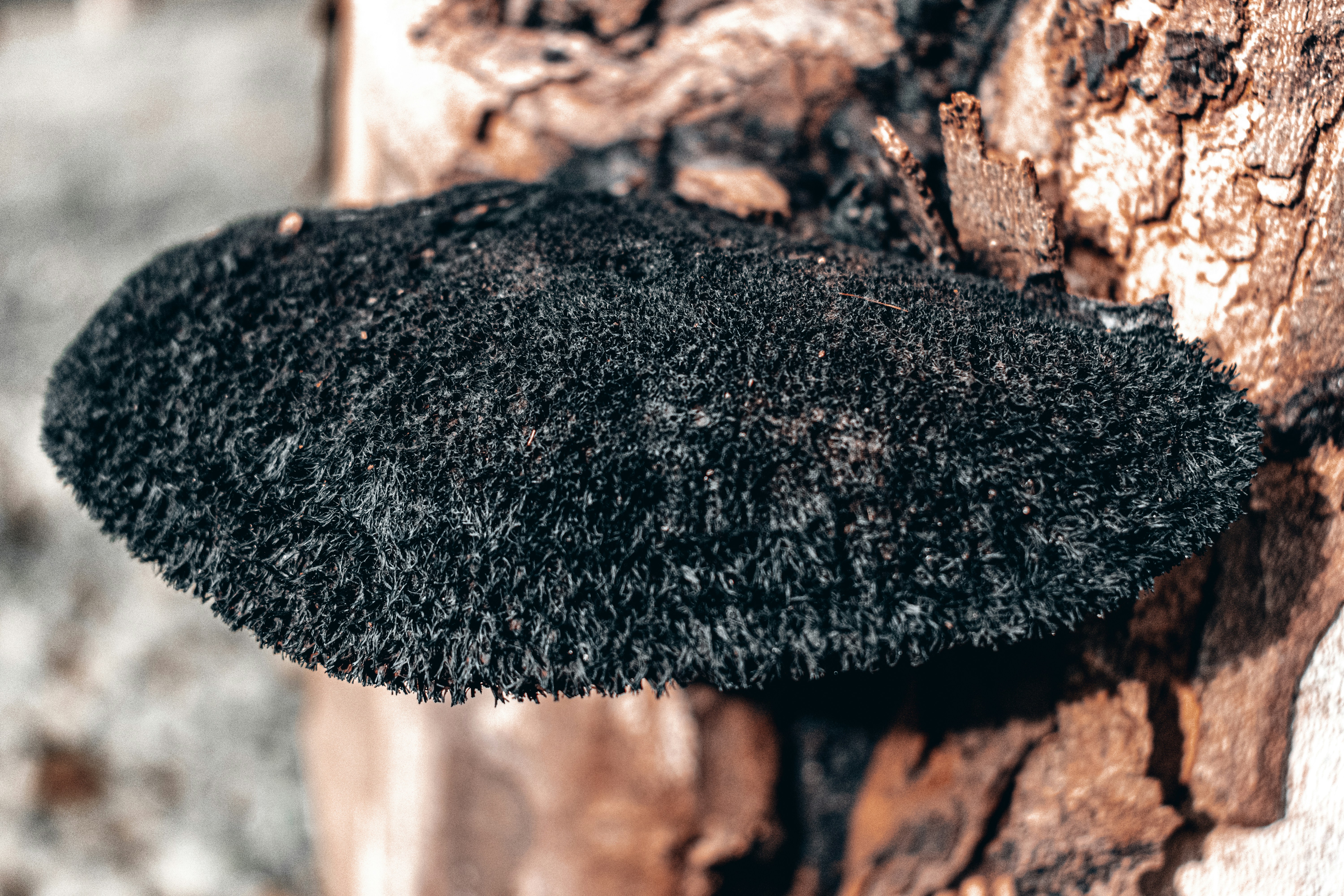 Photo by vadym_alyekseyenko