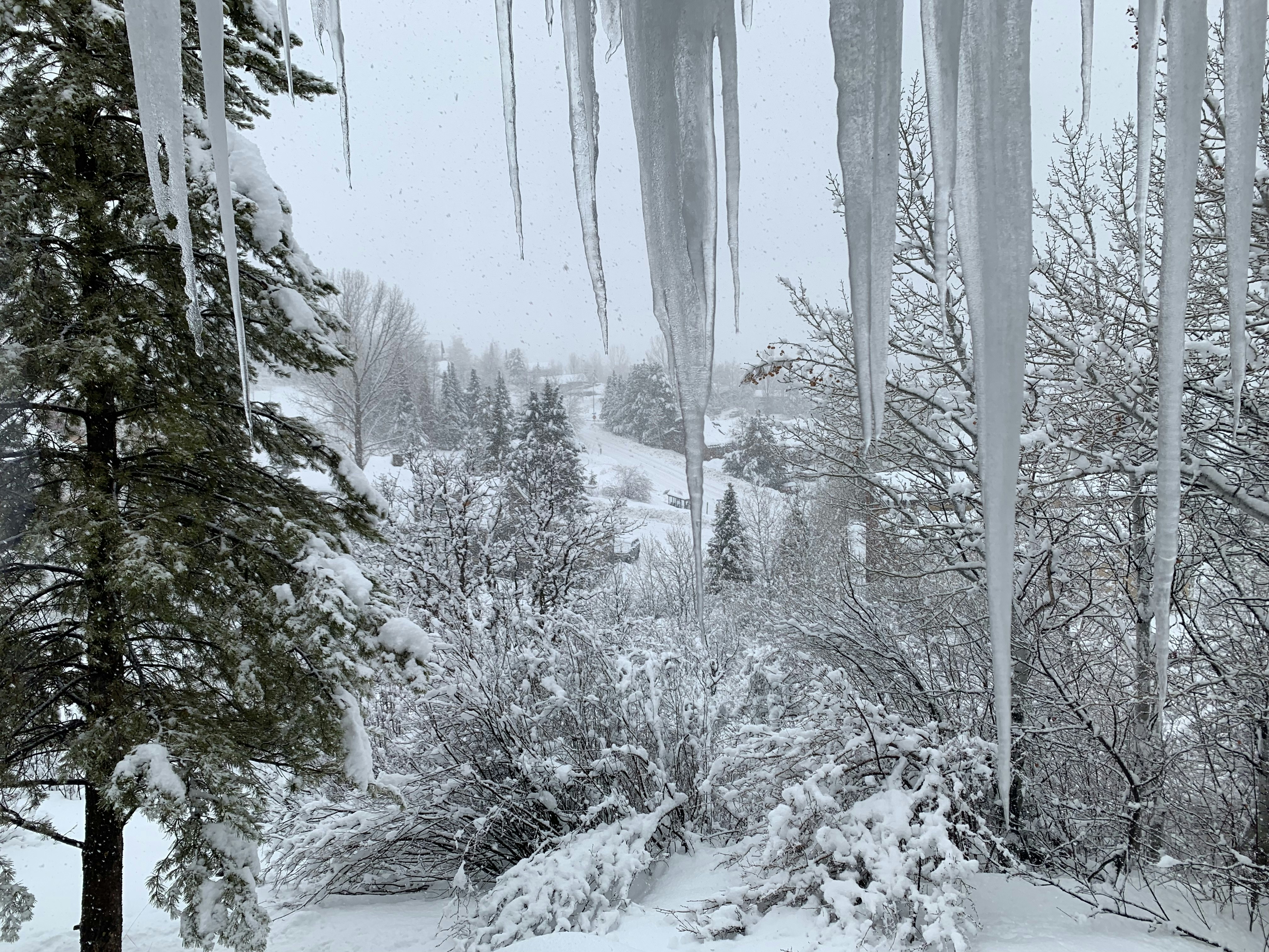 Photo by captainsporty_underpants1985