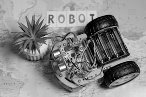 A small wheeled robot lies on a map, displaying its circuitry and battery pack. Next to the robot, there is a small potted plant with spiky leaves. The background features a partially visible word 'ROBOT' spelled out in block letters.