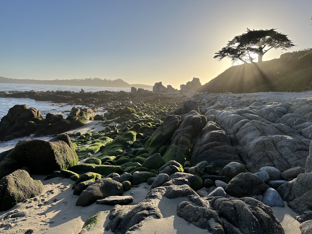 the sun shines on a rocky beach near the ocean