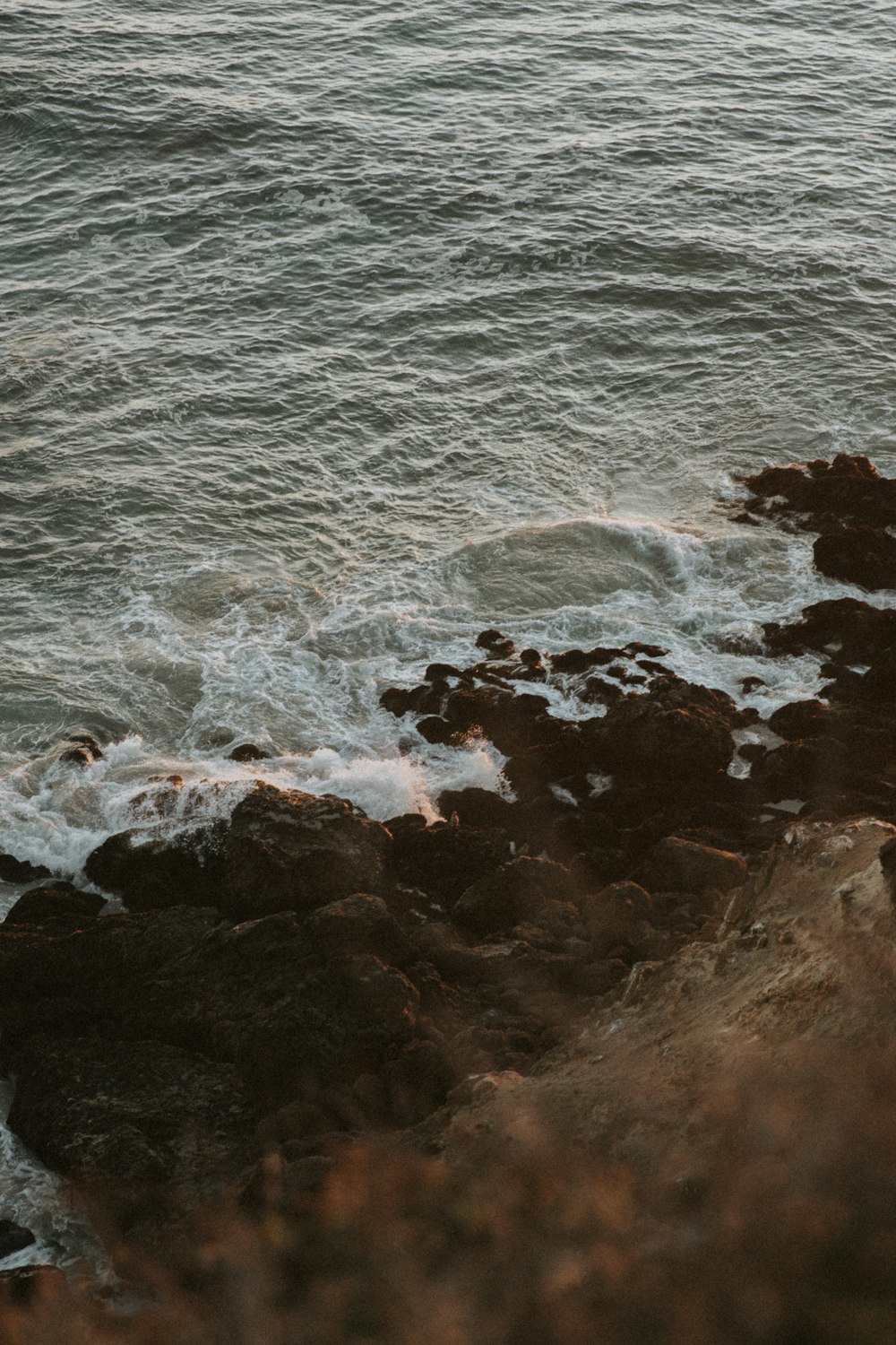 a person standing on a rocky shore next to the ocean