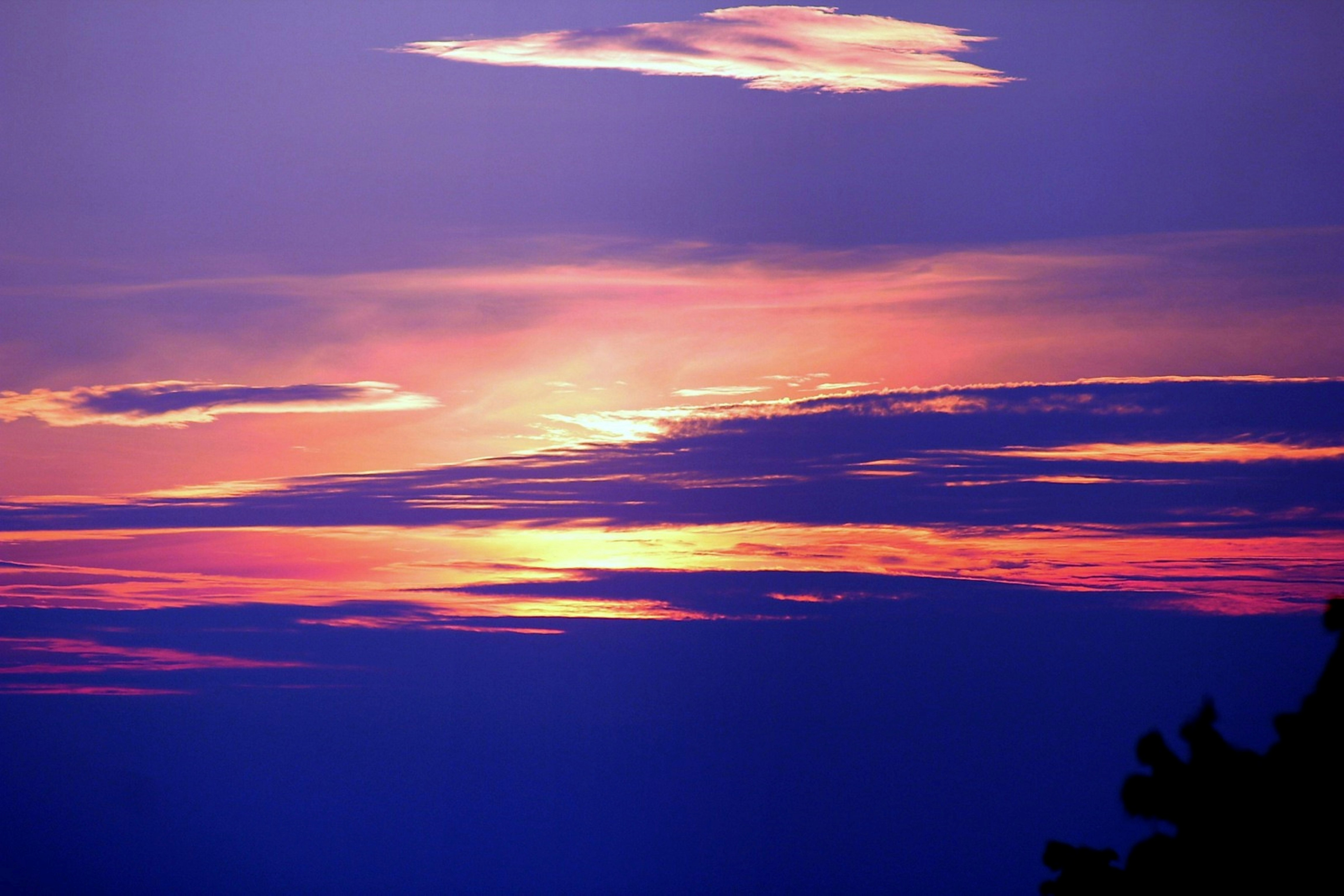 fixed interest rates