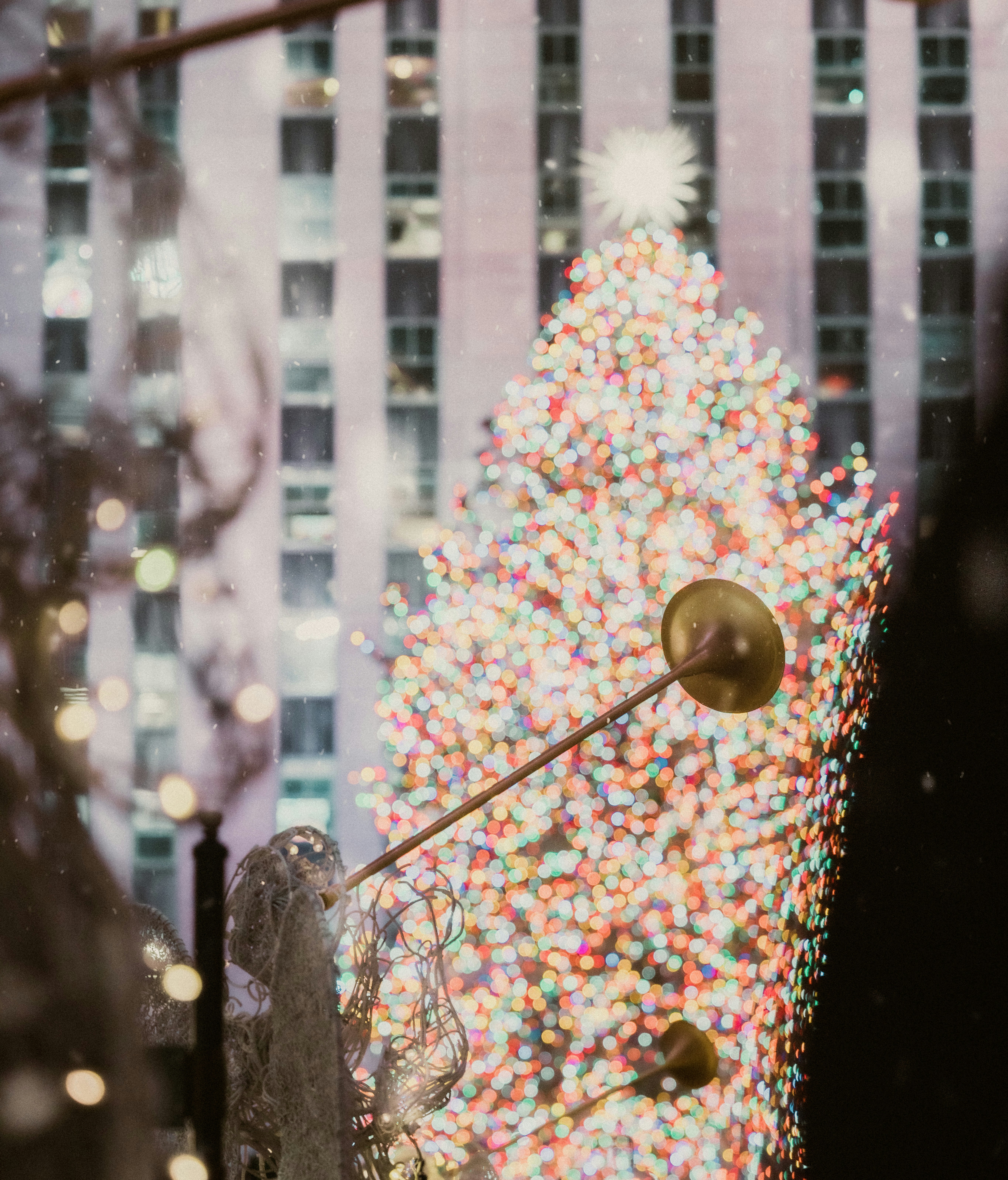 Photo by mannyalvarez