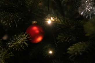 a red ornament hanging from a christmas tree
