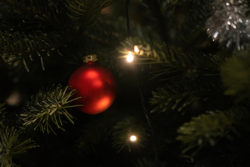 a red ornament hanging from a christmas tree