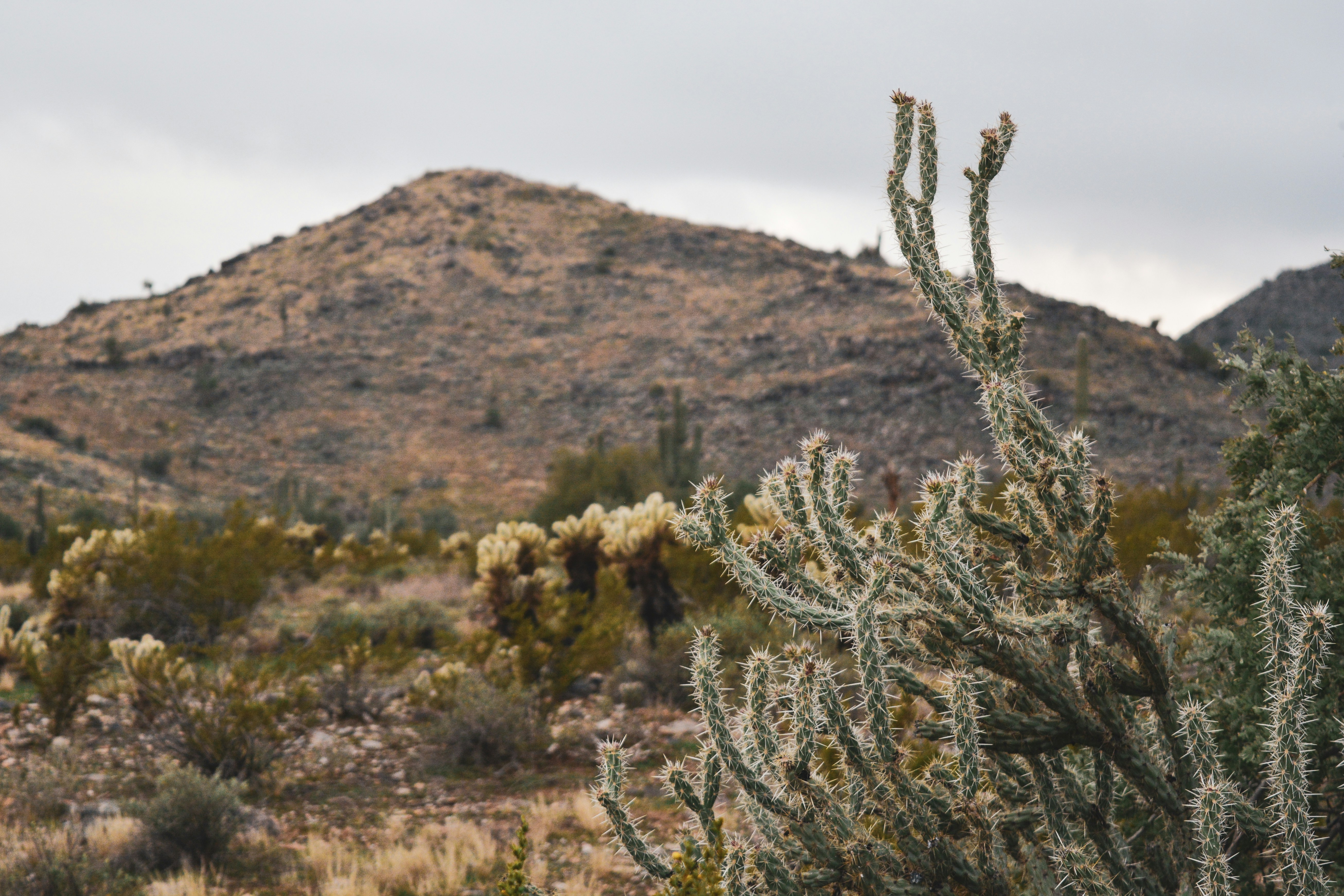 Photo by cierranorman