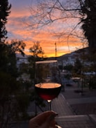 A glass of wine with the night sky in the background.