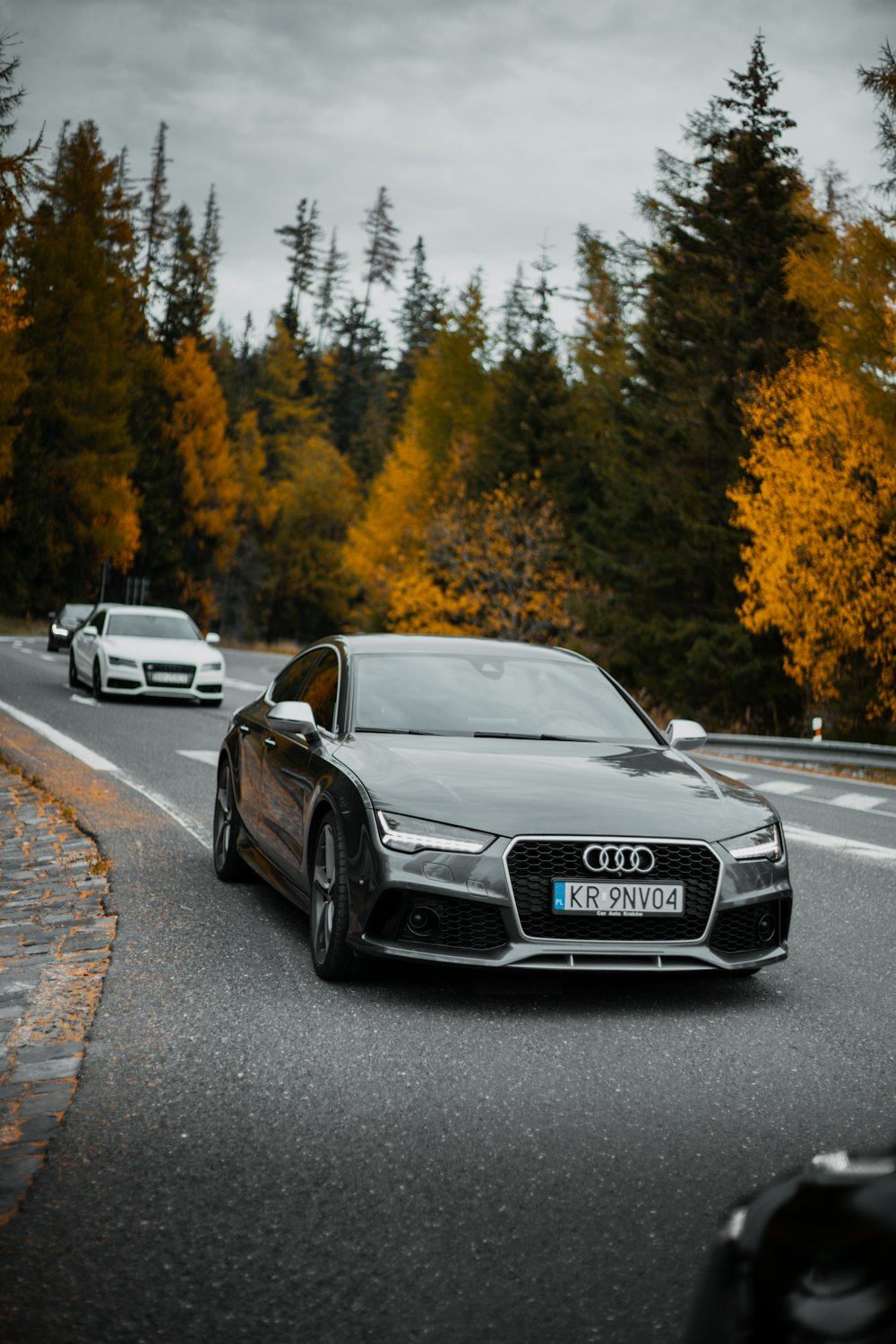 a car driving down a road next to a forest