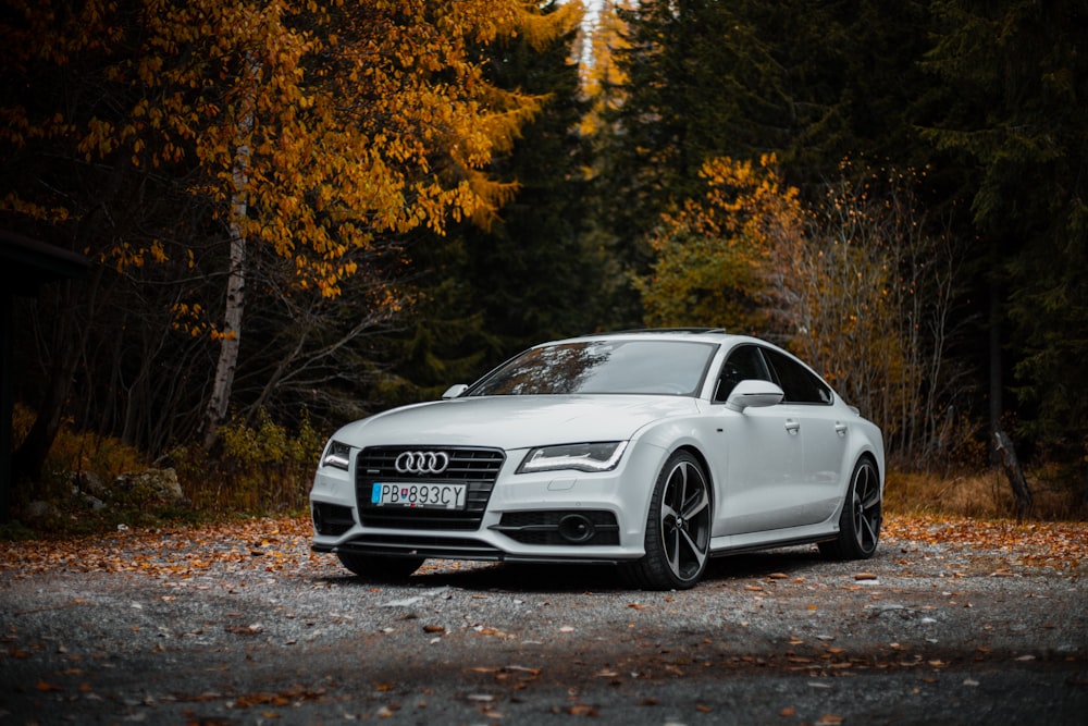 a white car parked in front of a forest