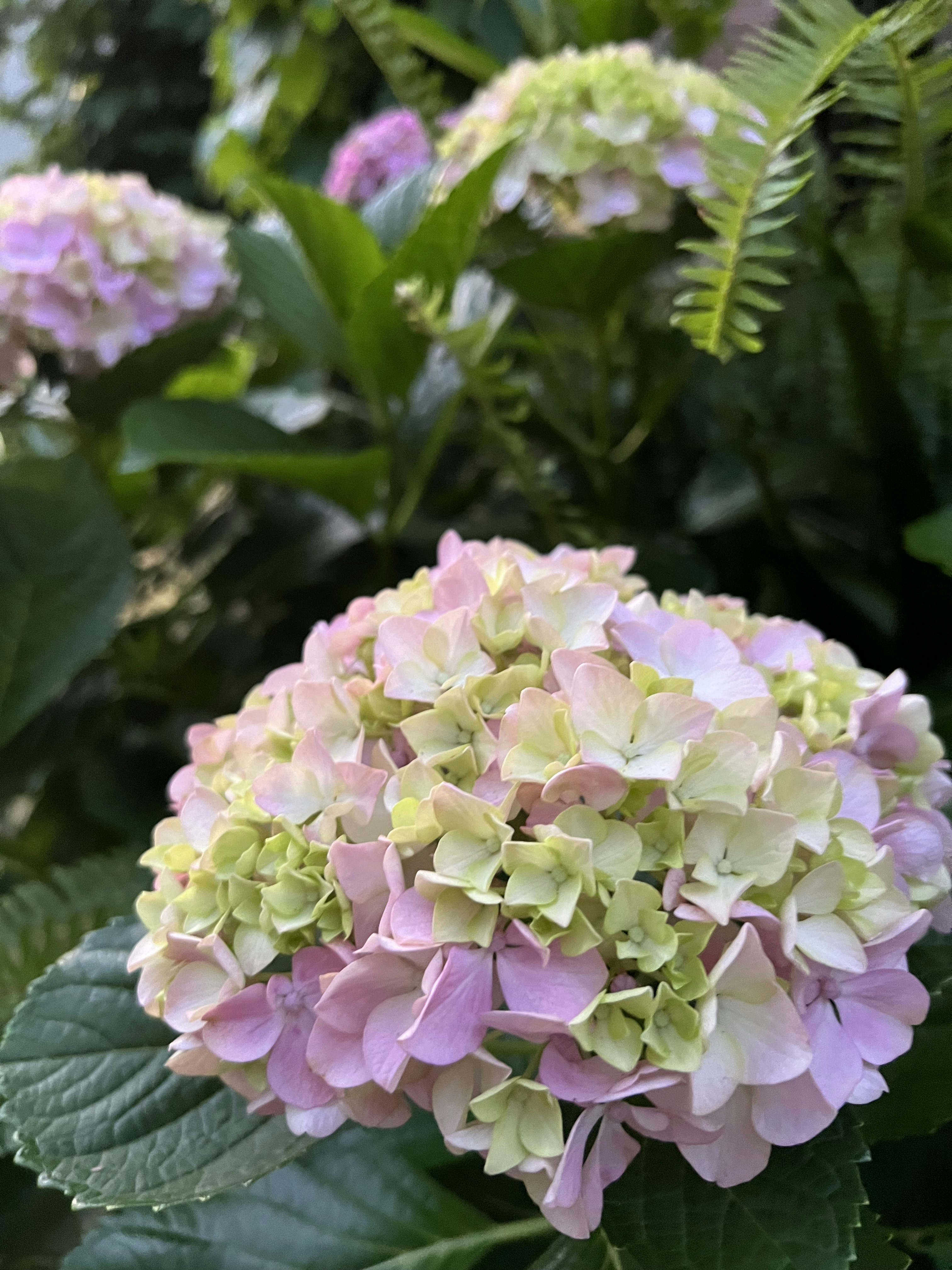 Photo by smacattack5