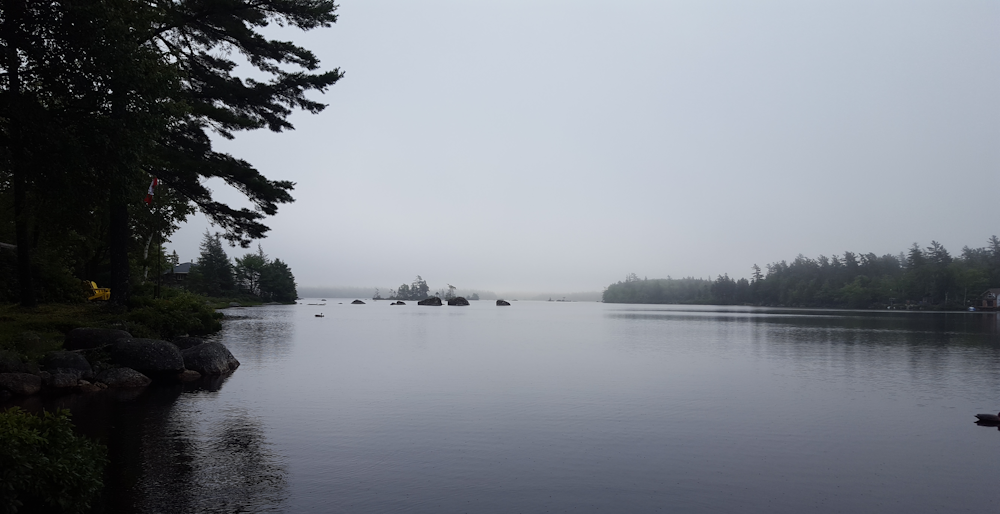 a body of water surrounded by trees on a foggy day