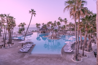A serene tropical resort setting with tall palm trees surrounding a large, inviting swimming pool. The pool area is equipped with numerous white loungers and umbrellas, and a thatched-roof hut can be seen in the distance. The ocean is visible beyond the pool, and the sky is painted with soft hues of pink and purple, suggesting either sunrise or sunset.
