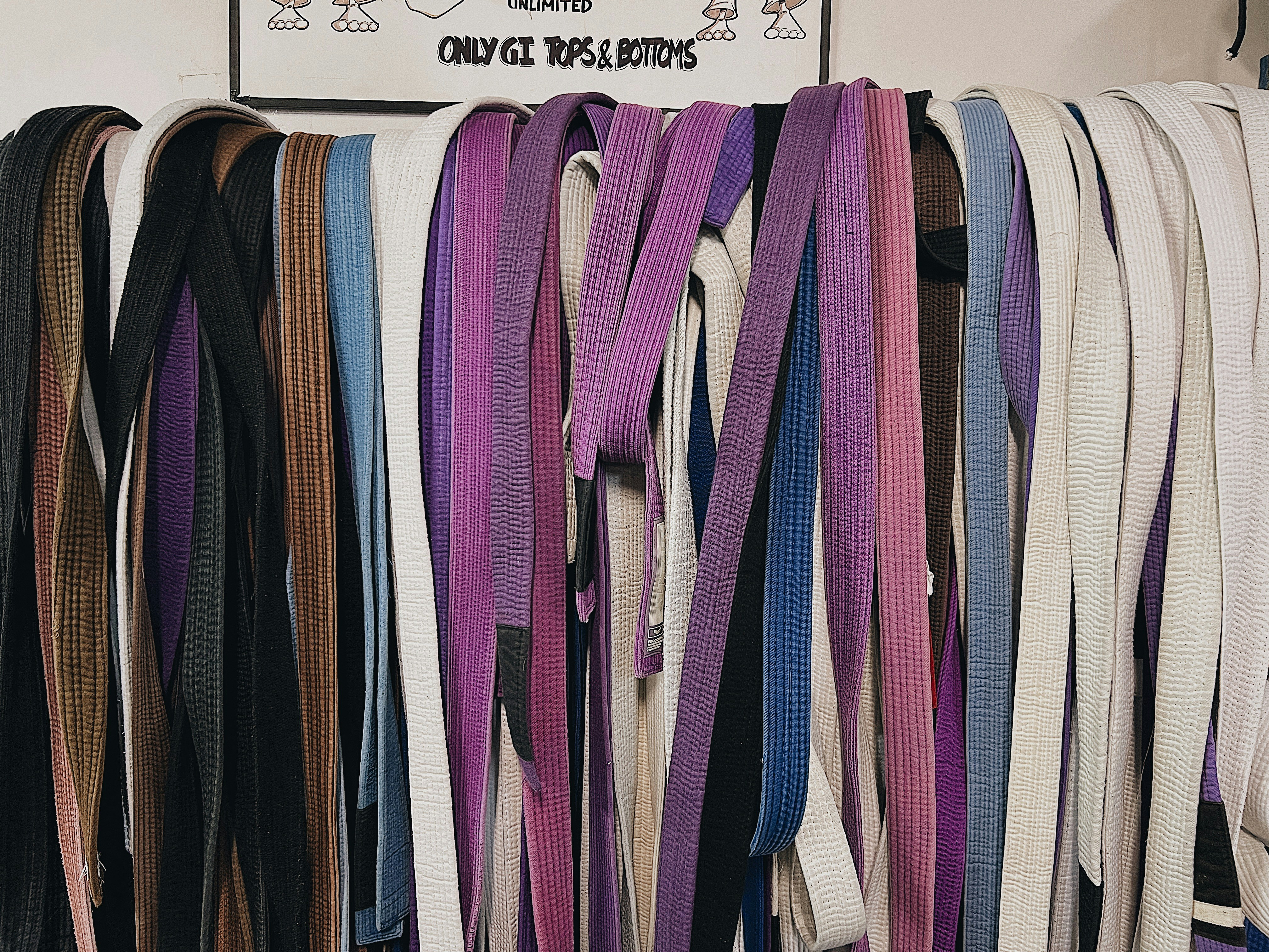 유니클로 니들스 바지 가격 관련 이미지2