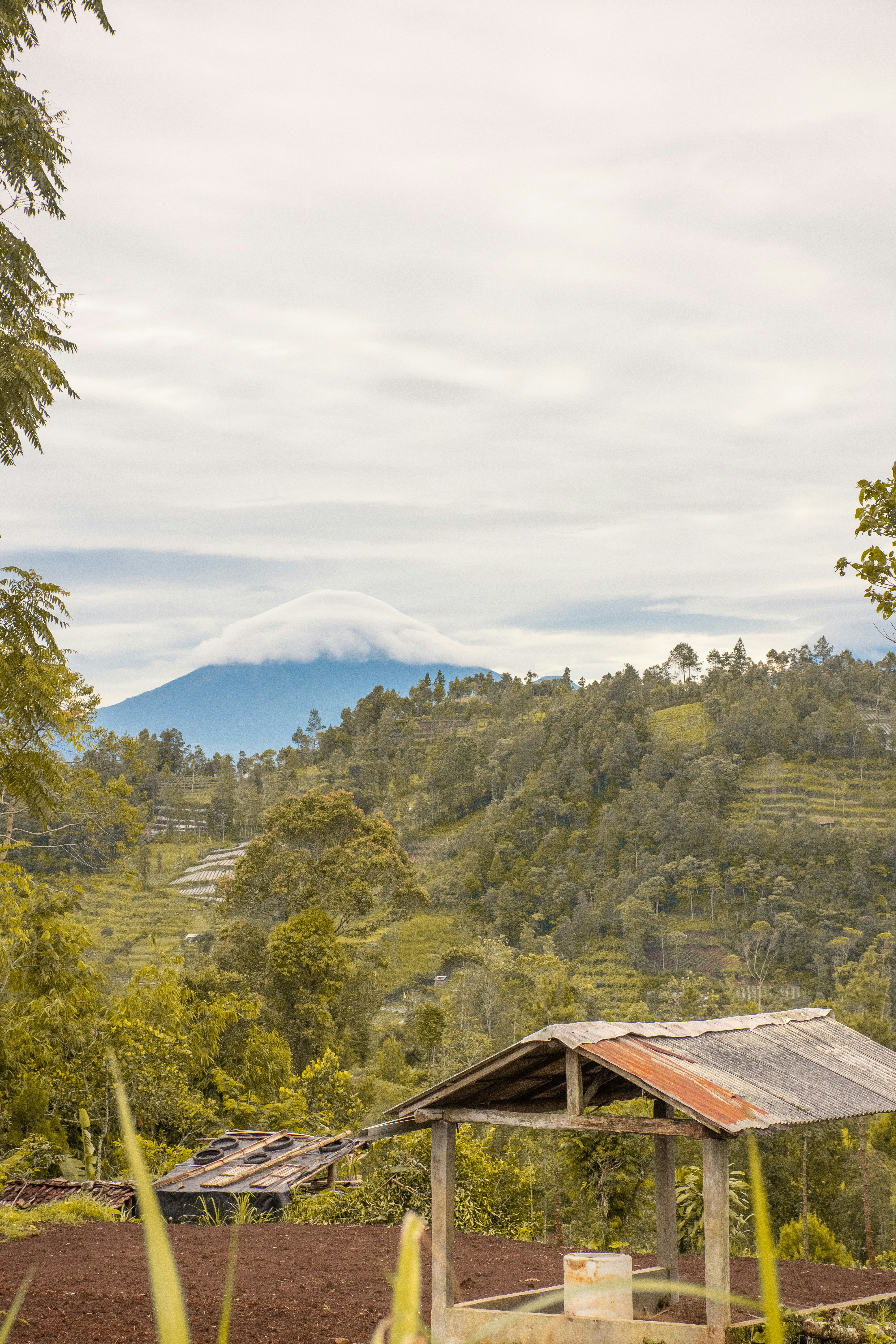 tempat berlindung kayu di tengah ladang