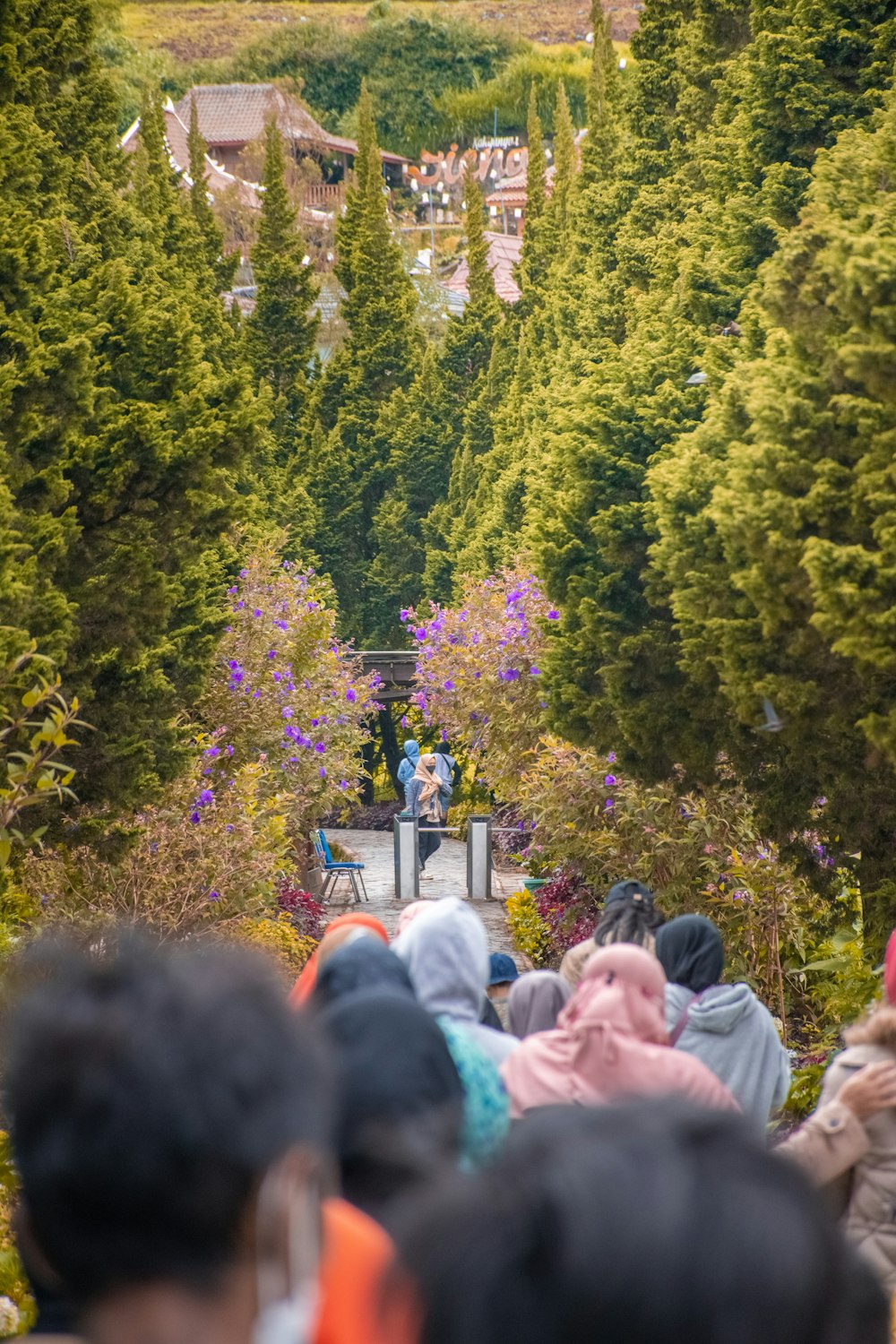 a group of people standing in a forest