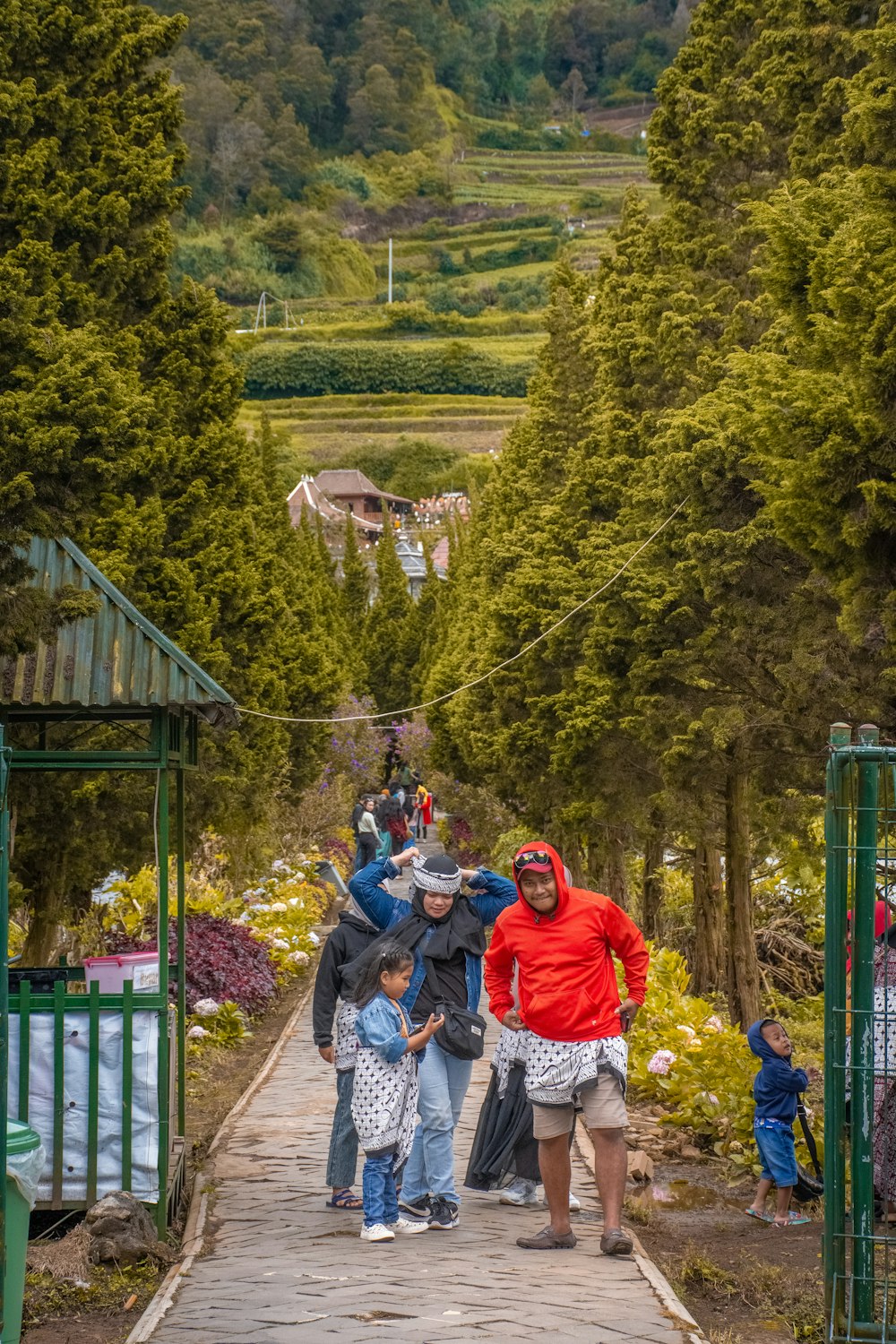 a group of people walking down a pathway