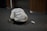 A person wearing a white jacket covered in various handwritten messages is kneeling on the carpeted floor with their head bowed down. Beside them on the floor is an empty aluminum can. The background includes wooden paneling and an elevator door.