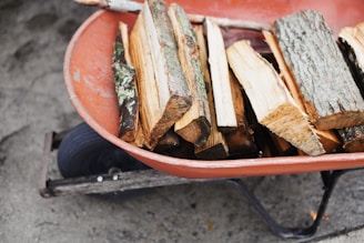 A wheelbarrow filled with chopped firewood, featuring pieces of wood with bark and exposed inner grain. The wheelbarrow is orange and positioned on a rough concrete surface.