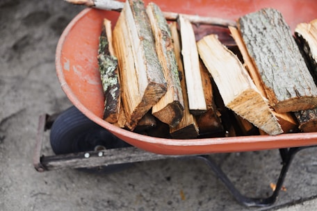 A wheelbarrow filled with chopped firewood, featuring pieces of wood with bark and exposed inner grain. The wheelbarrow is orange and positioned on a rough concrete surface.