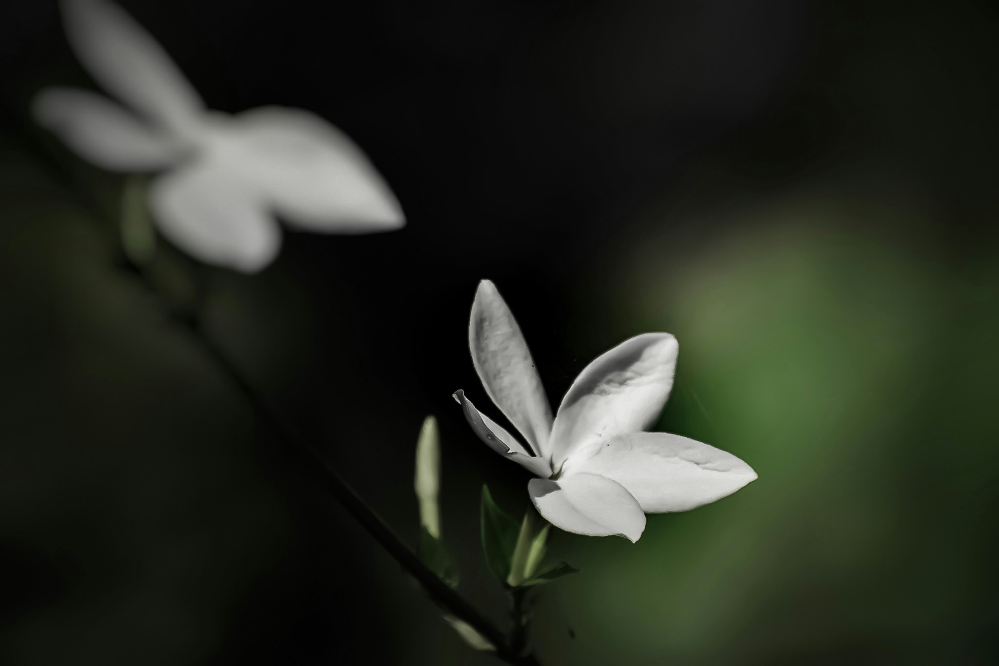 Photo by photography__from__sidd