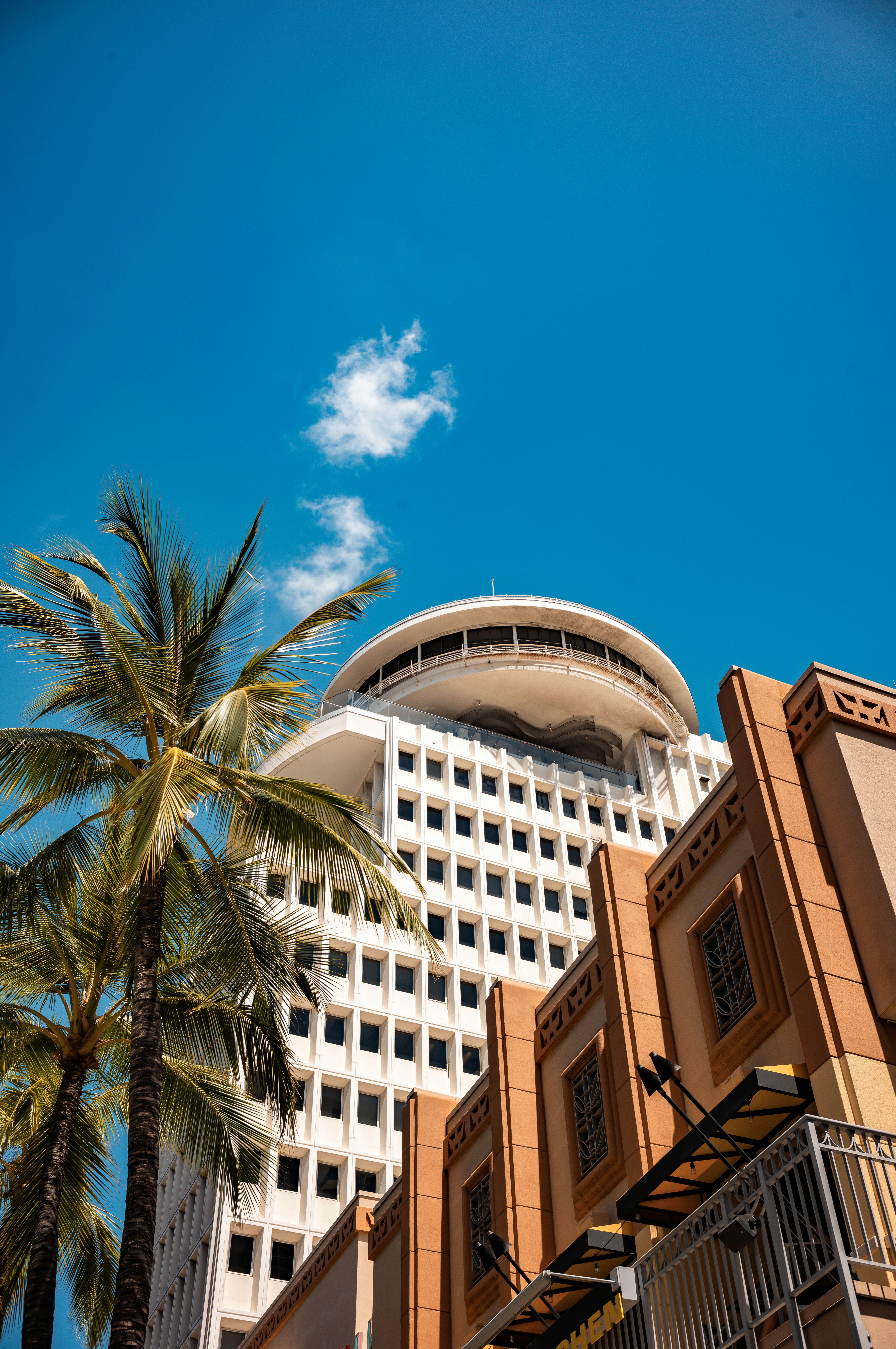 a palm tree in front of a large building