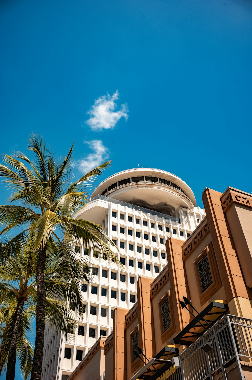 a palm tree in front of a large building