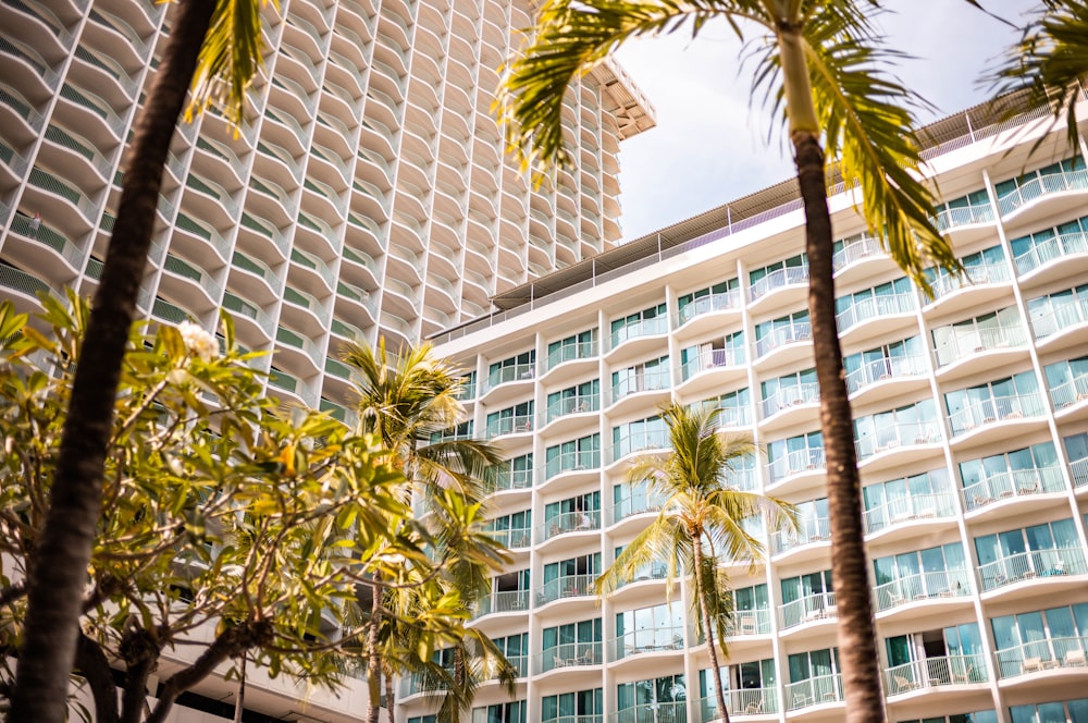 a tall building with palm trees in front of it