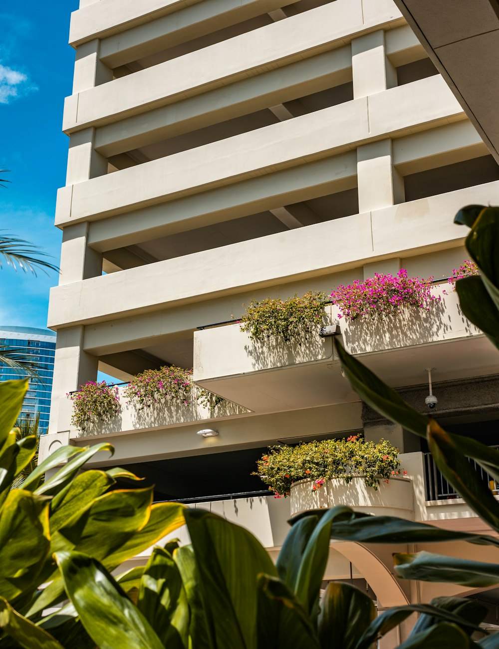 a tall white building with a bunch of plants in front of it