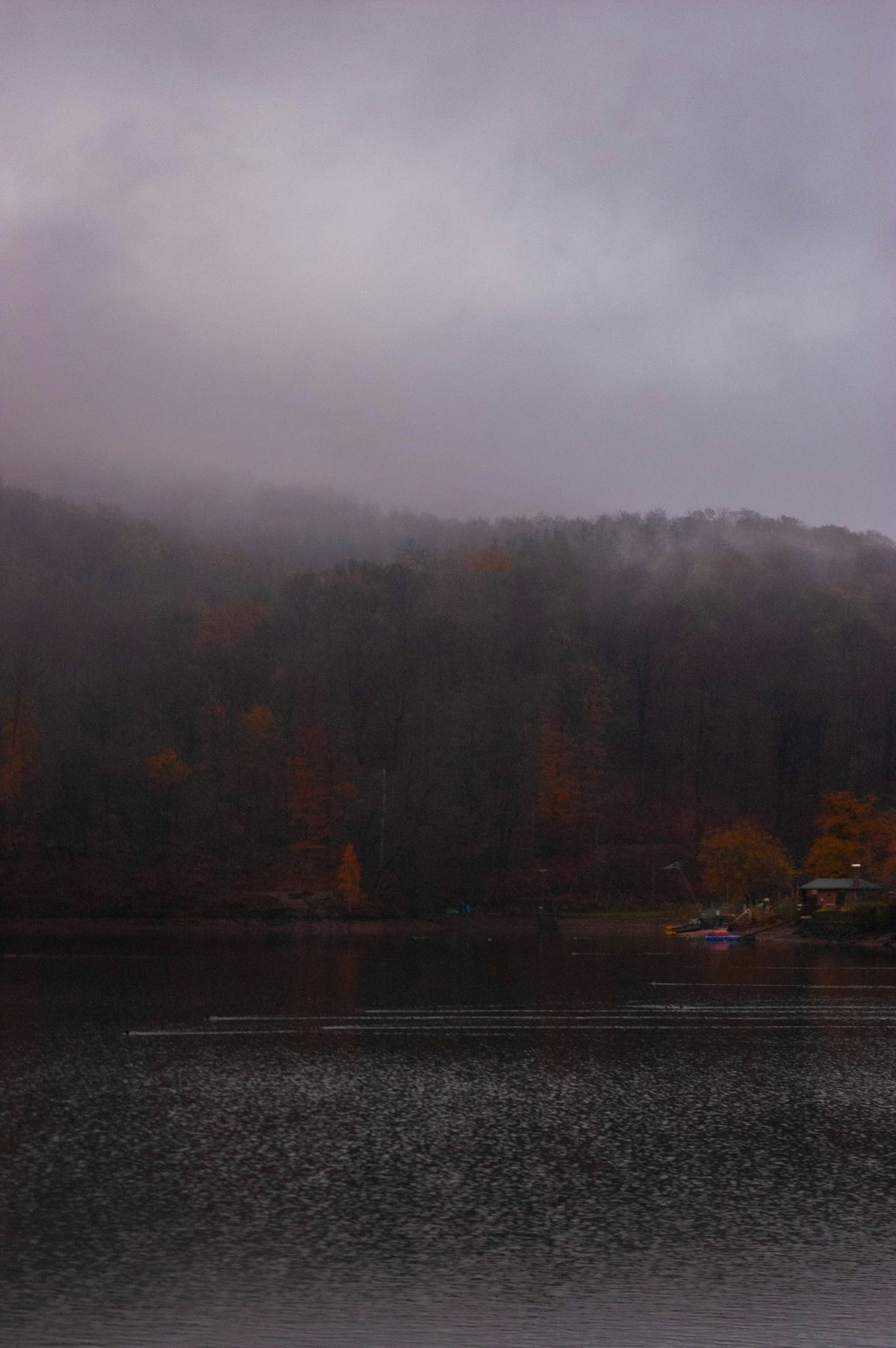 a body of water surrounded by a forest